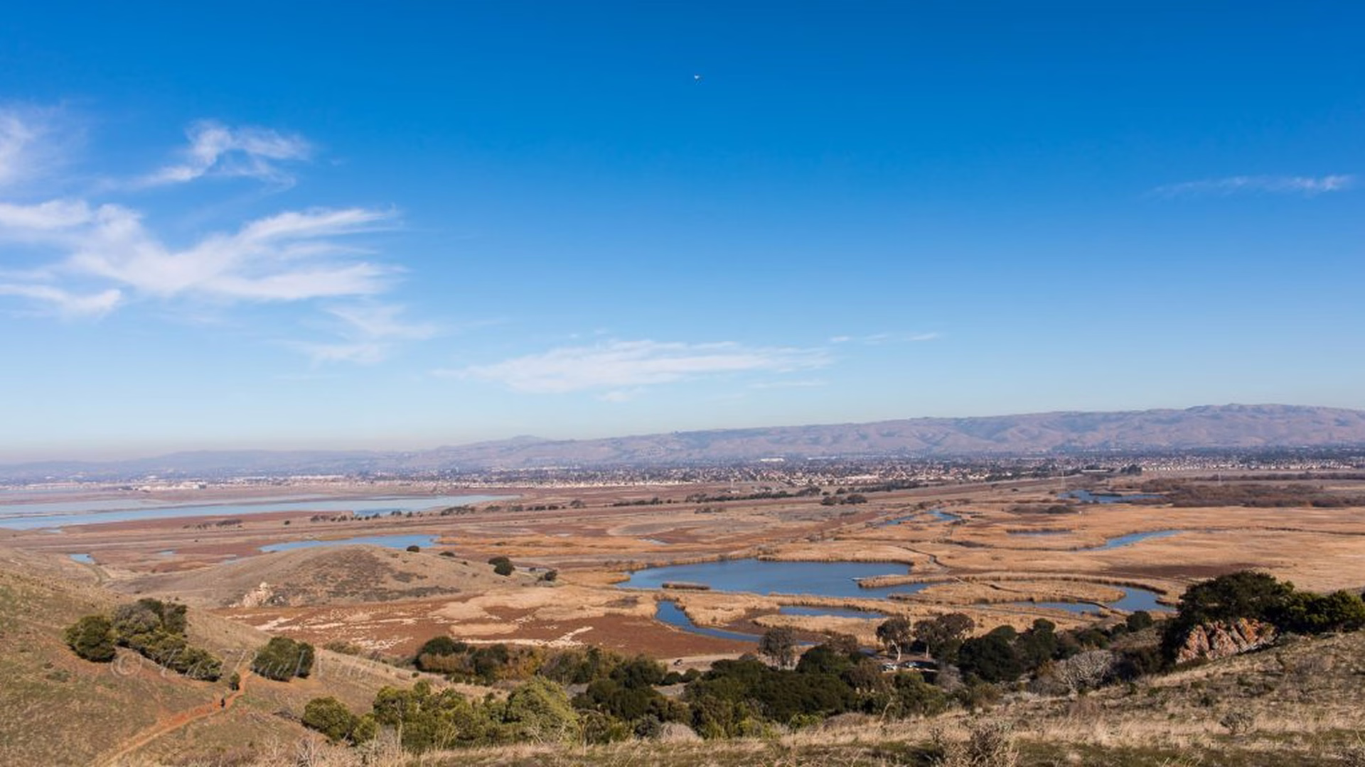 Coyote Hills Vista Point — photo 1