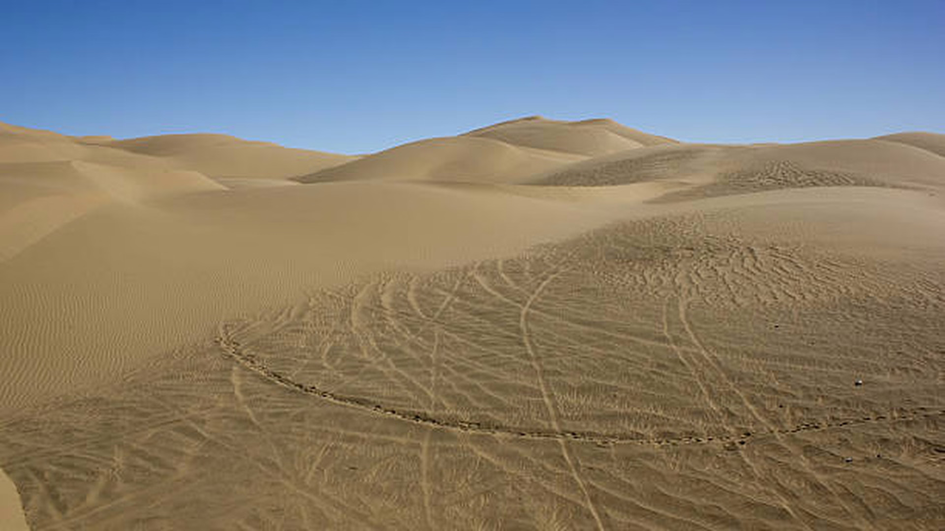Buttercup Dunes — photo 1