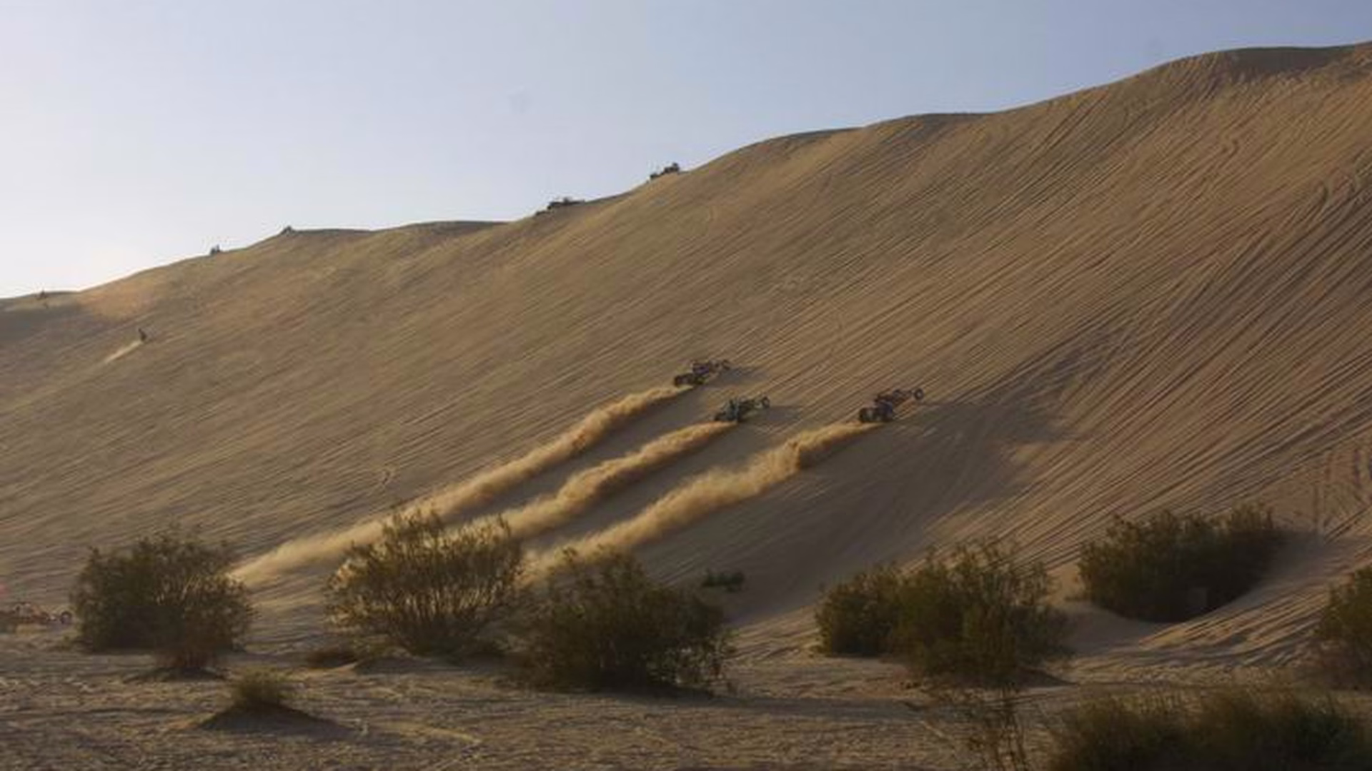 Buttercup Dunes — photo 2