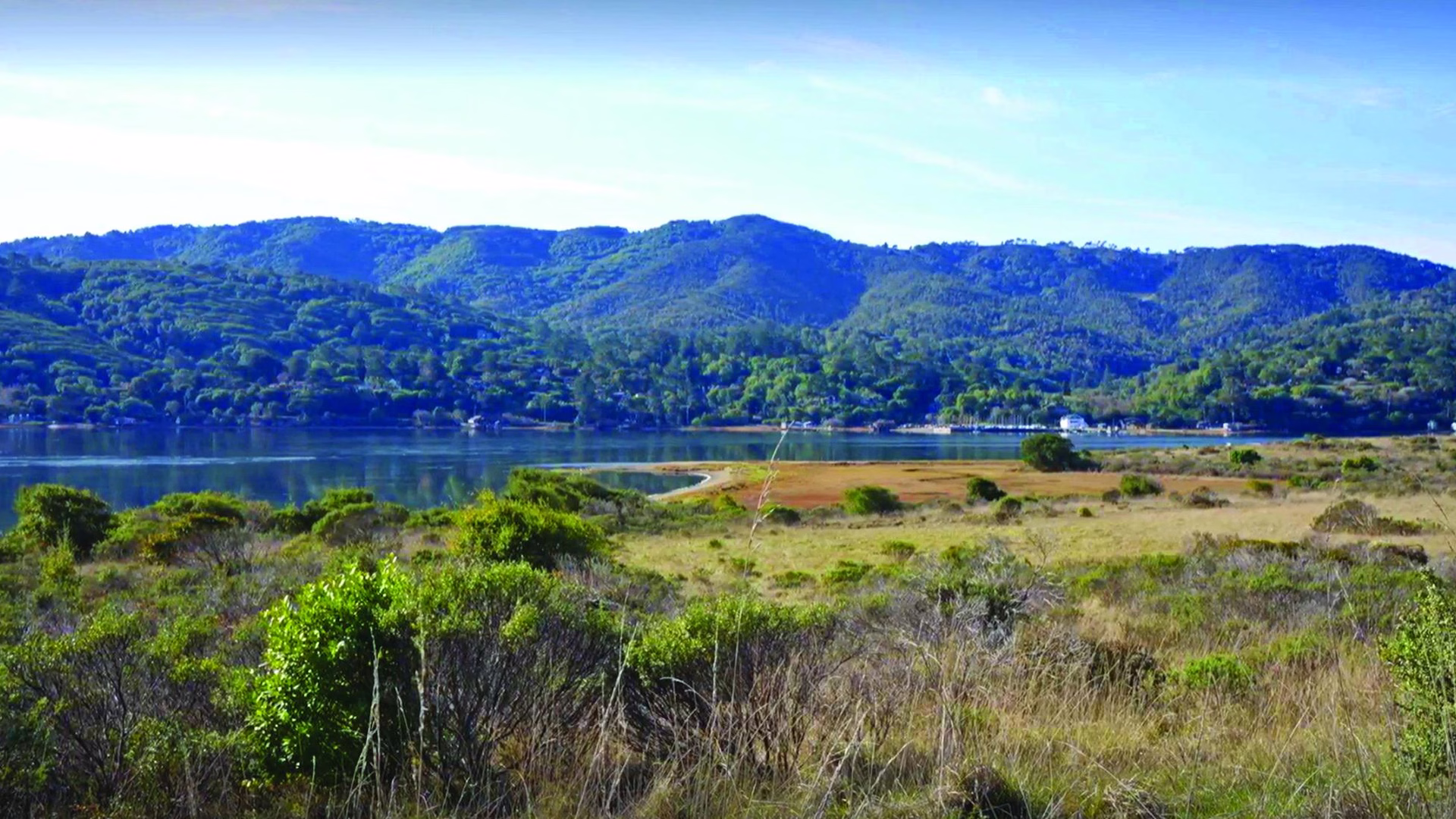 Tomales Bay State Park — photo 2