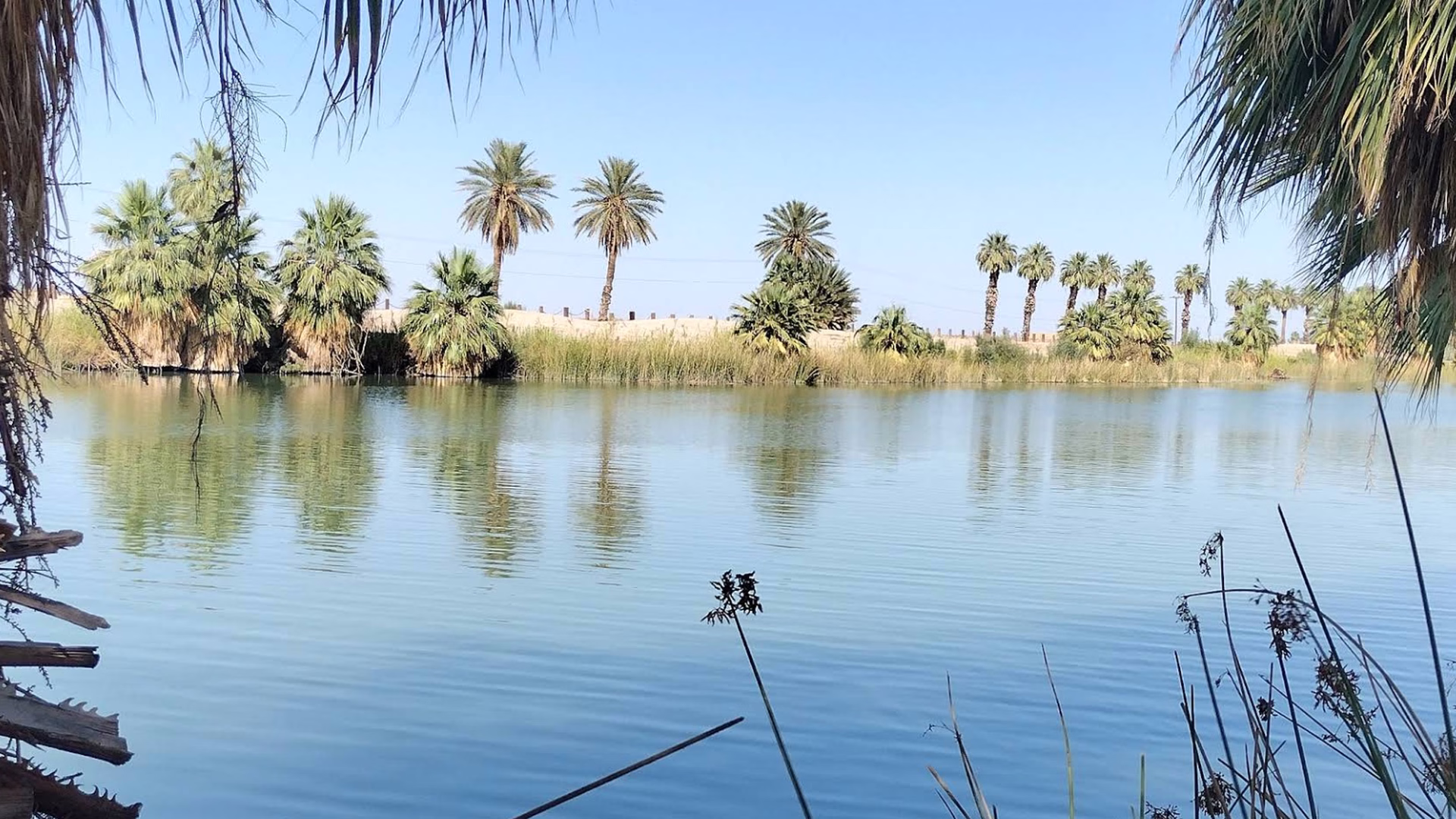 Sunbeam Lake — photo 1