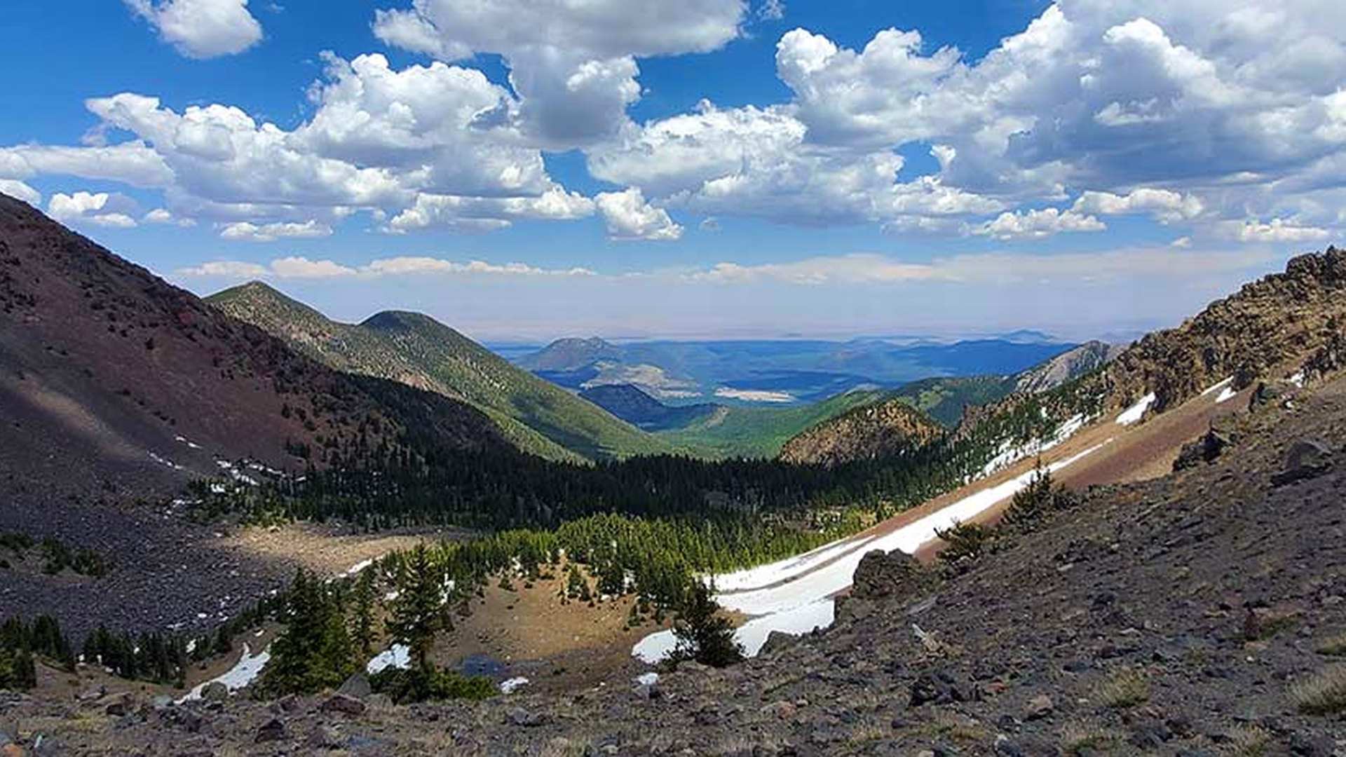 Humphreys Peak Trail — photo 2