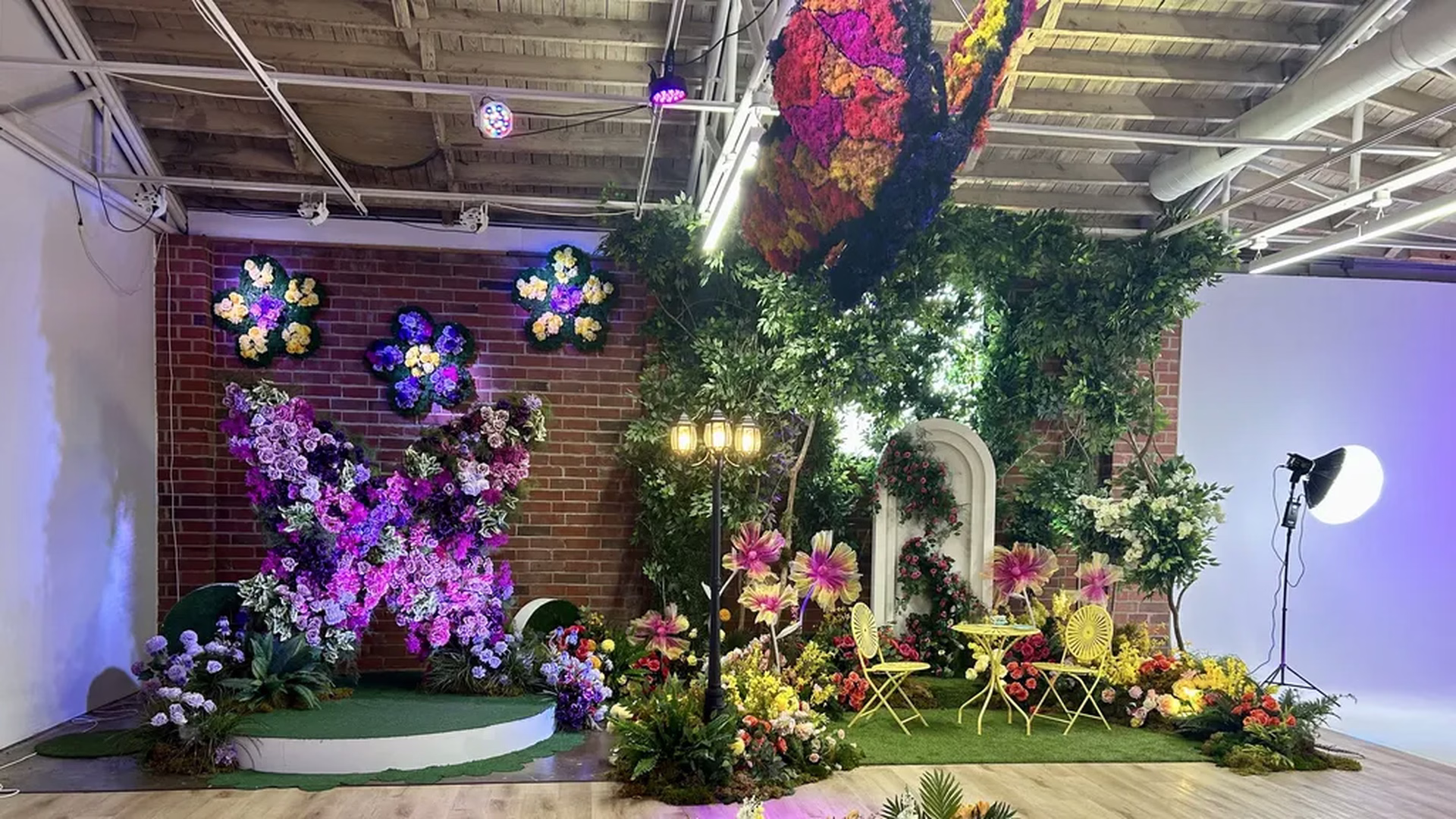 Babe Cave CLT — photo 2