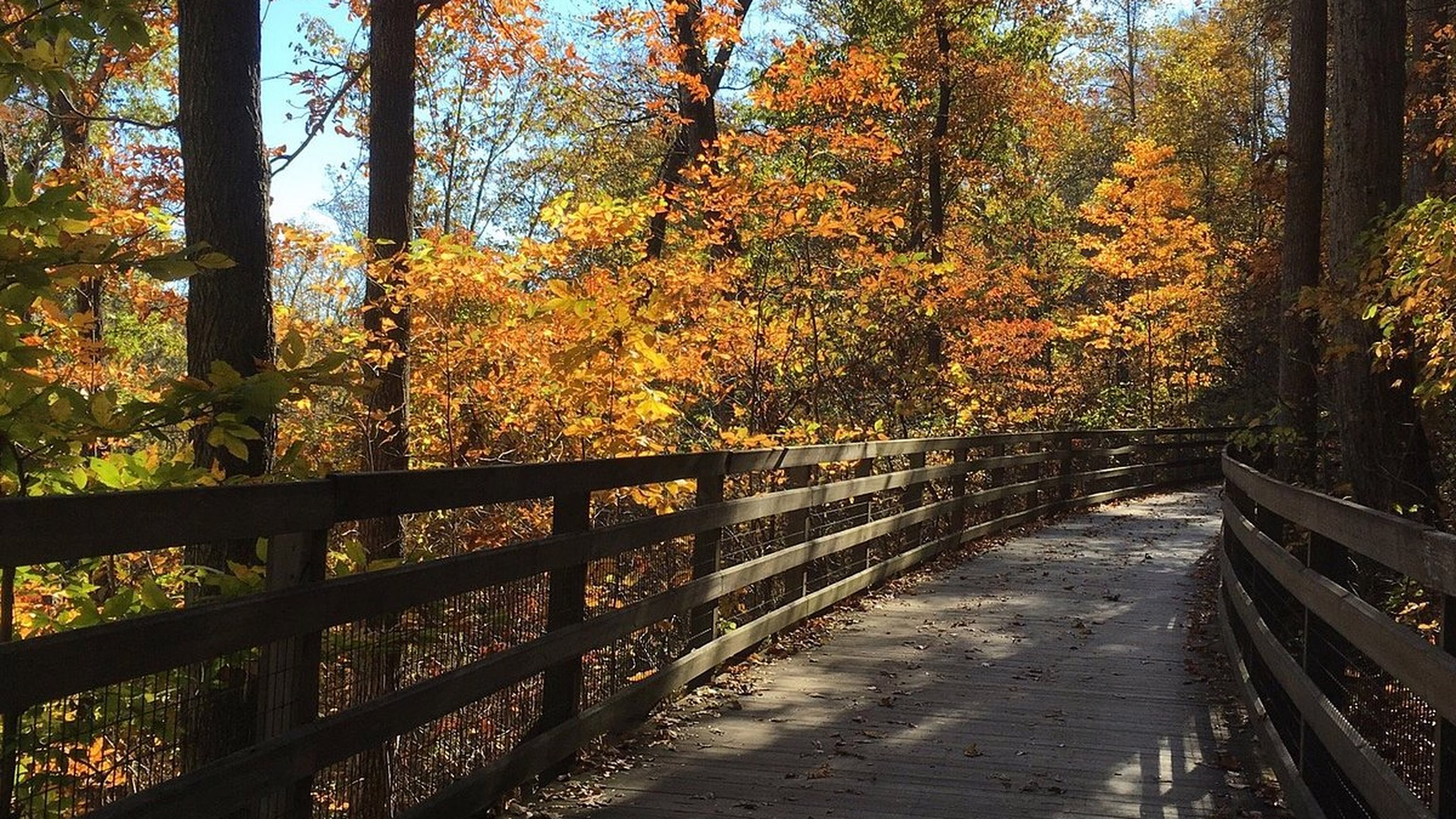 Saunders-Monticello Trail — photo 1