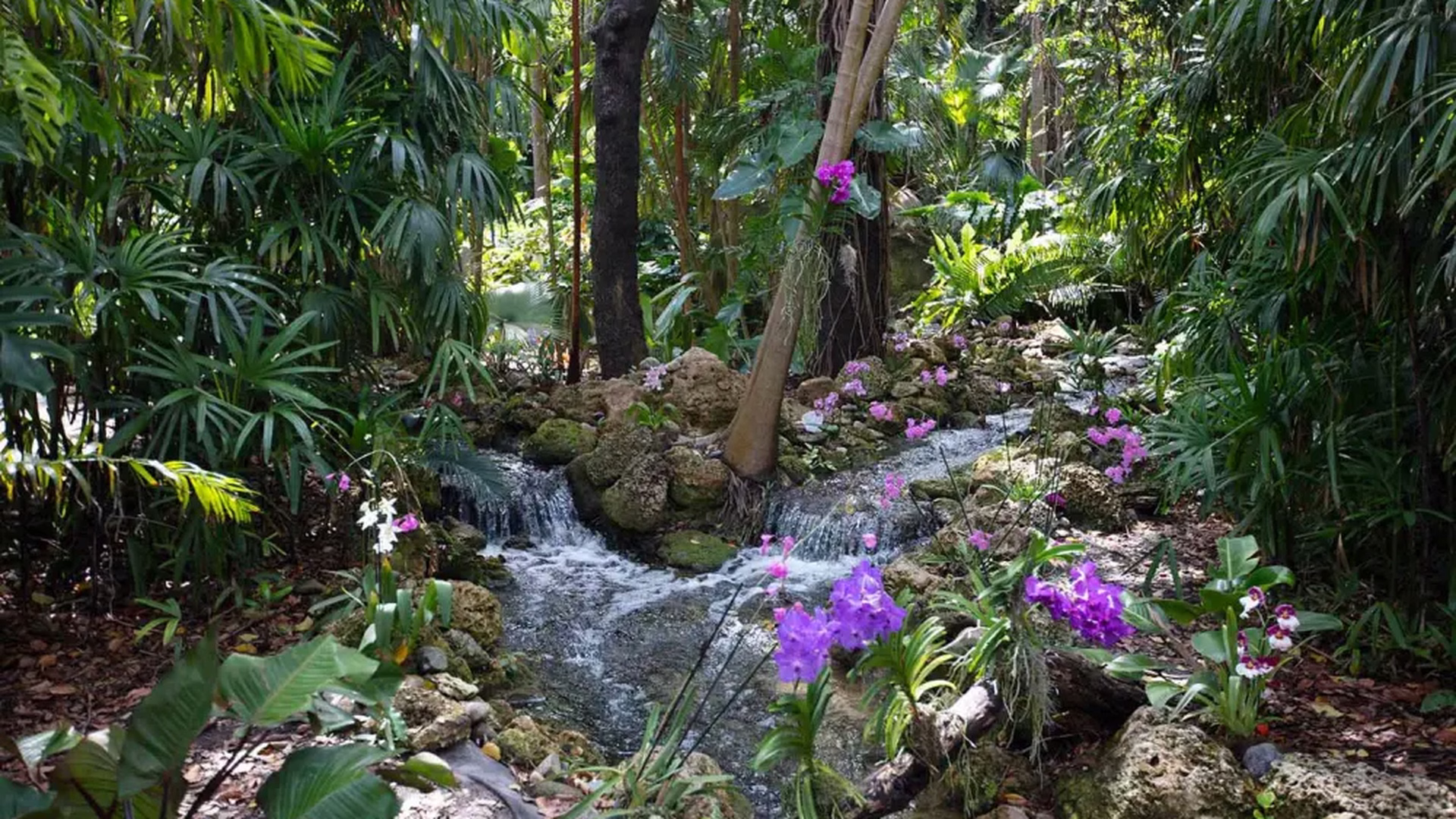 Fairchild Tropical Botanic Garden — photo 4