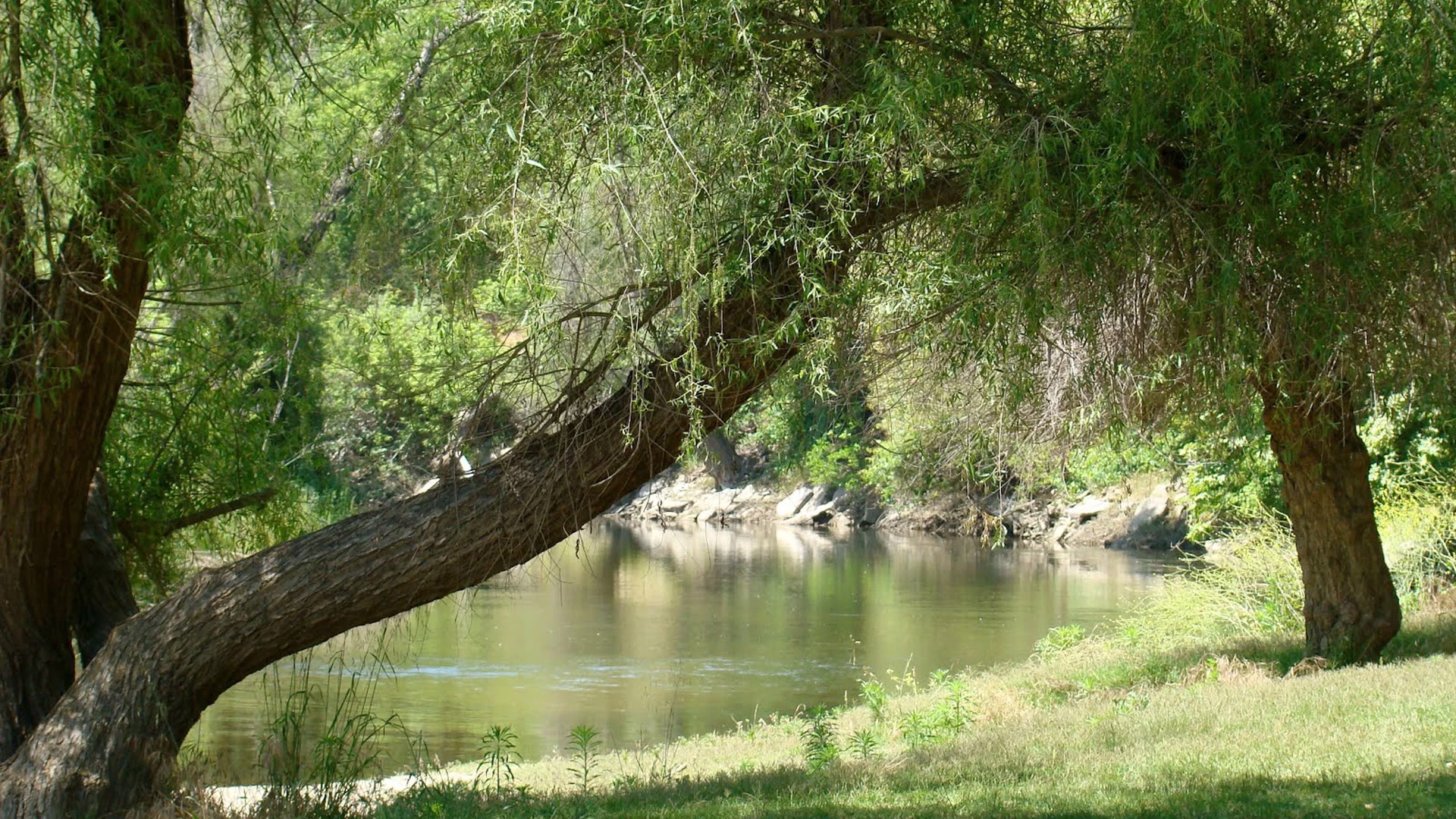 McConnell State Recreation Area — photo 2