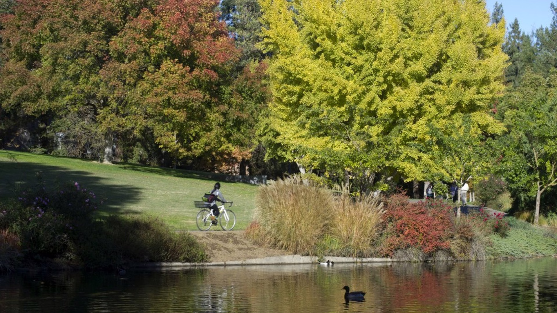 UC Davis Arboretum — photo 2