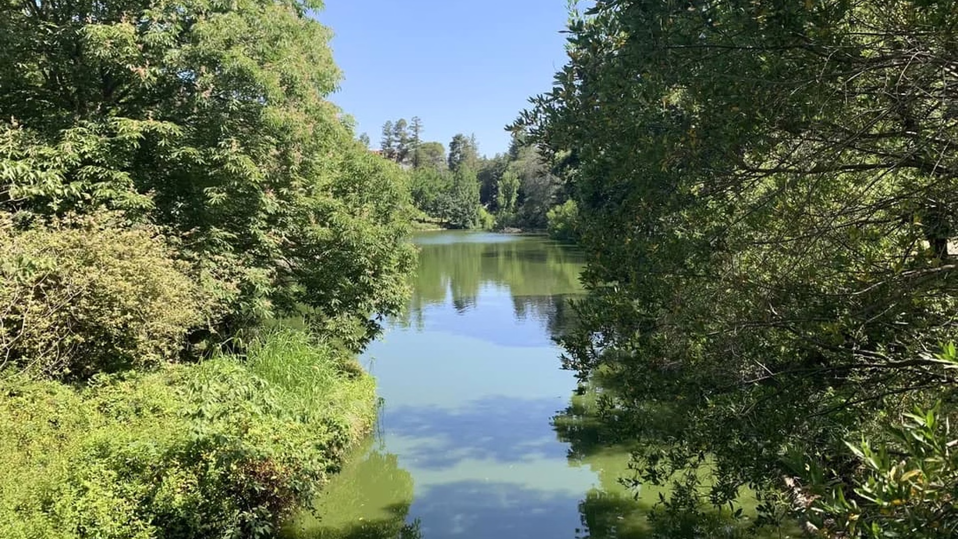 UC Davis Arboretum — photo 1