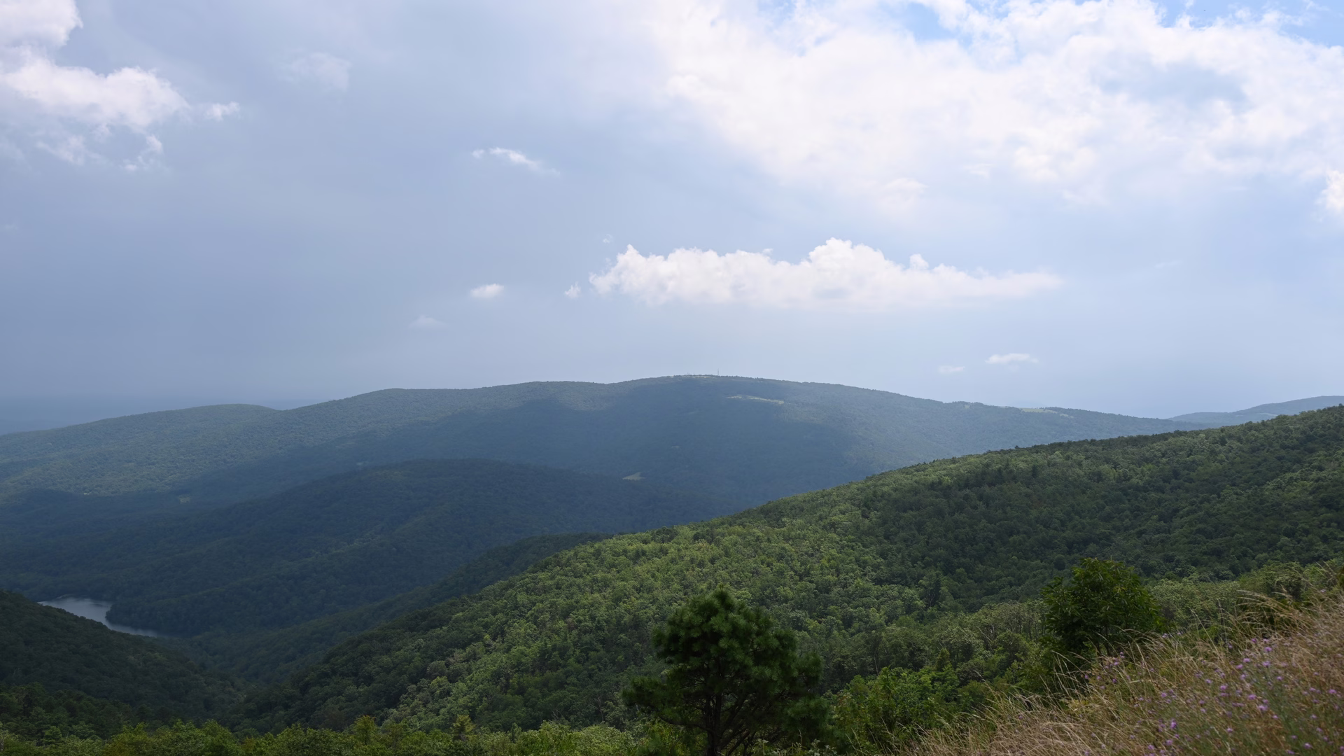 Shenandoah National Park — photo 4