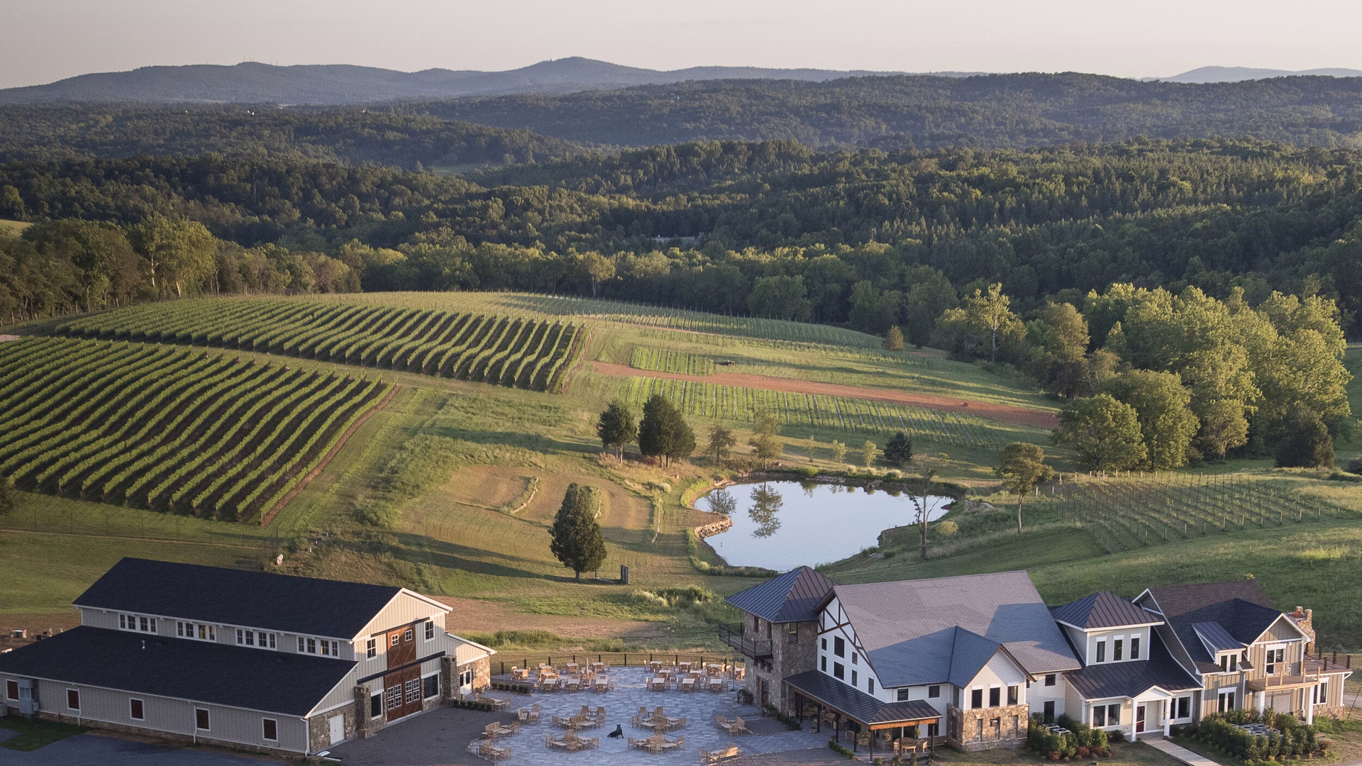 Stone Tower Winery — photo 1