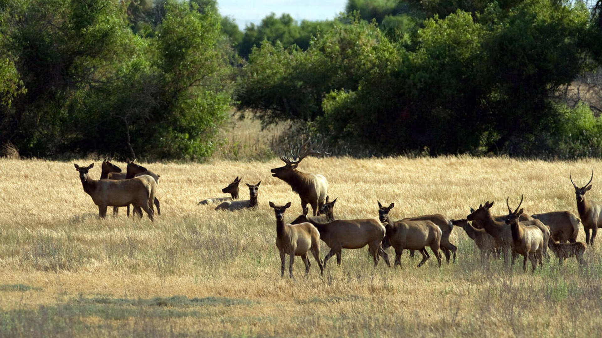 San Luis National Wildlife Refuge — photo 2