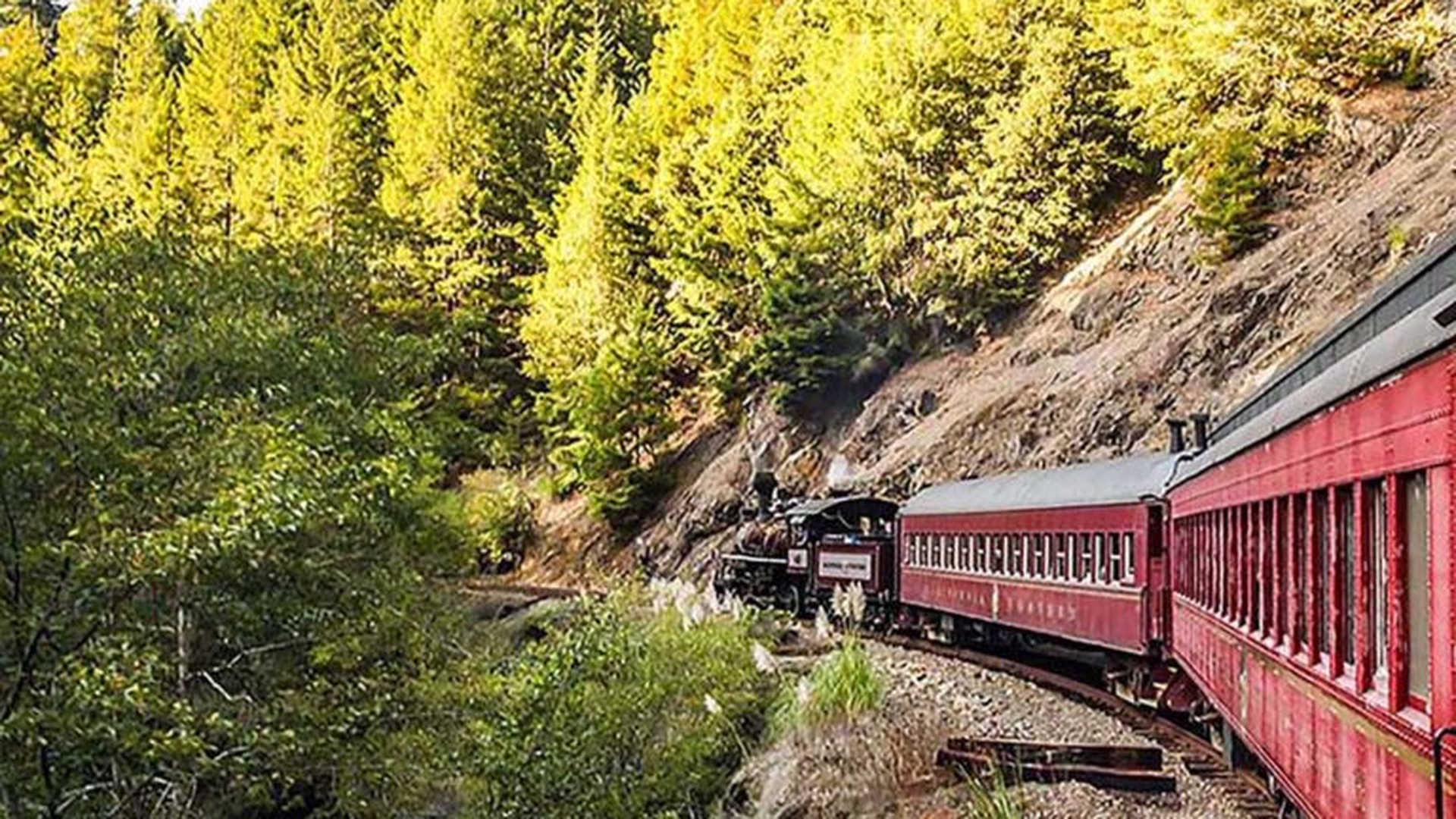 The Skunk Train — photo 1