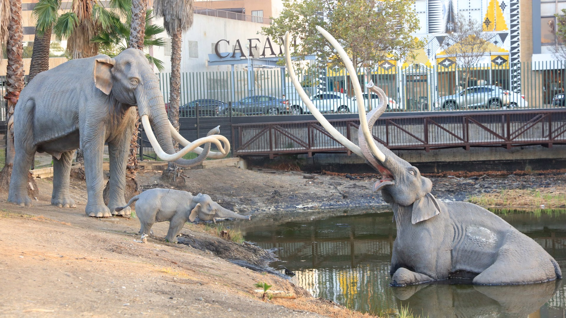 La Brea Tar Pits and Museum — photo 1