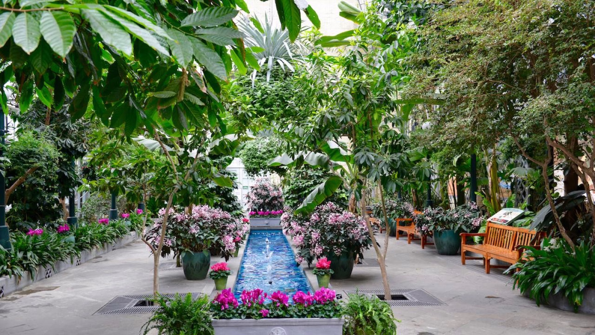 United States Botanic Garden — photo 1