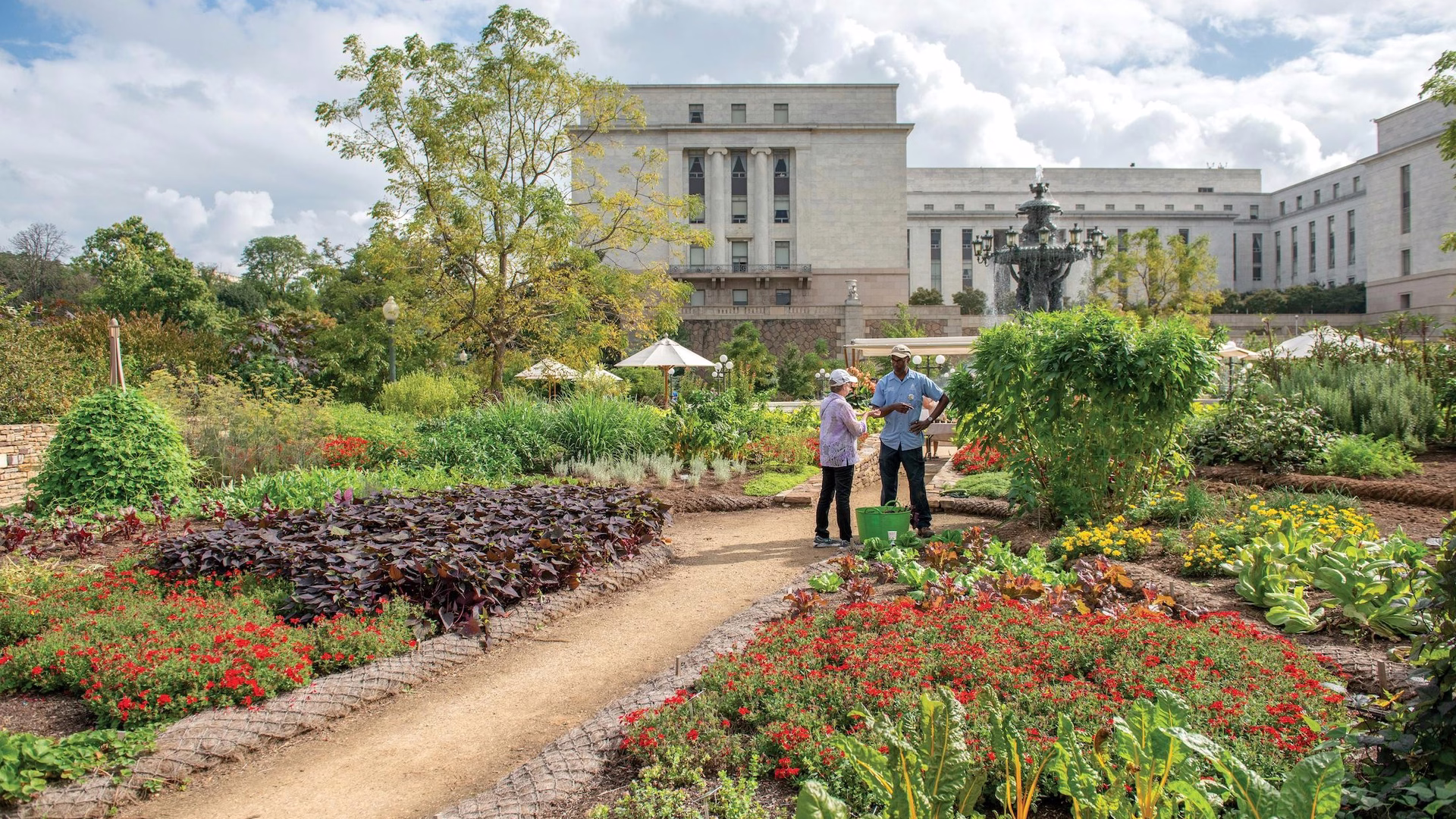 United States Botanic Garden — photo 2