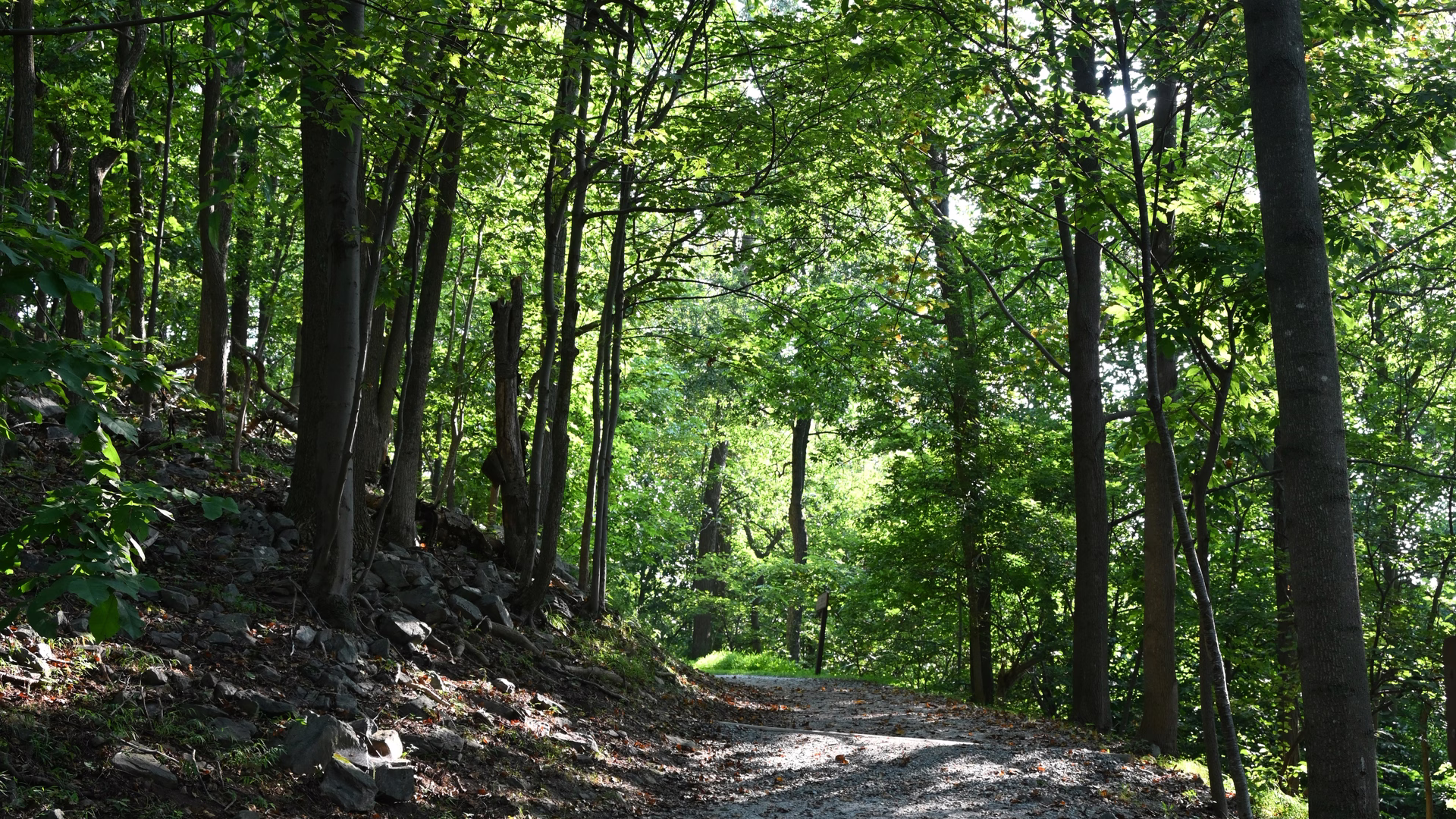 Washington Monument State Park — the way up