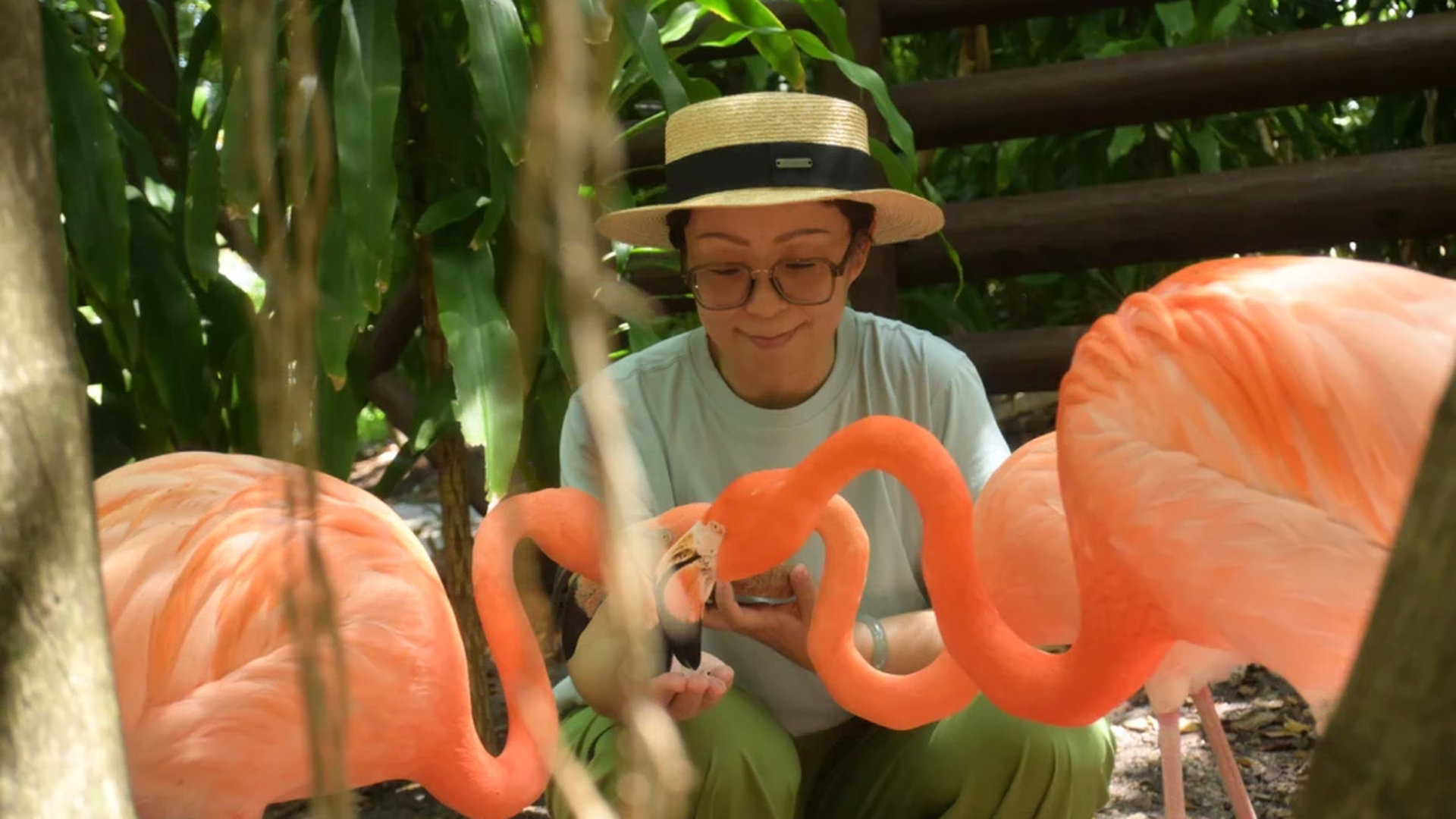 Jungle Island — photo 2
