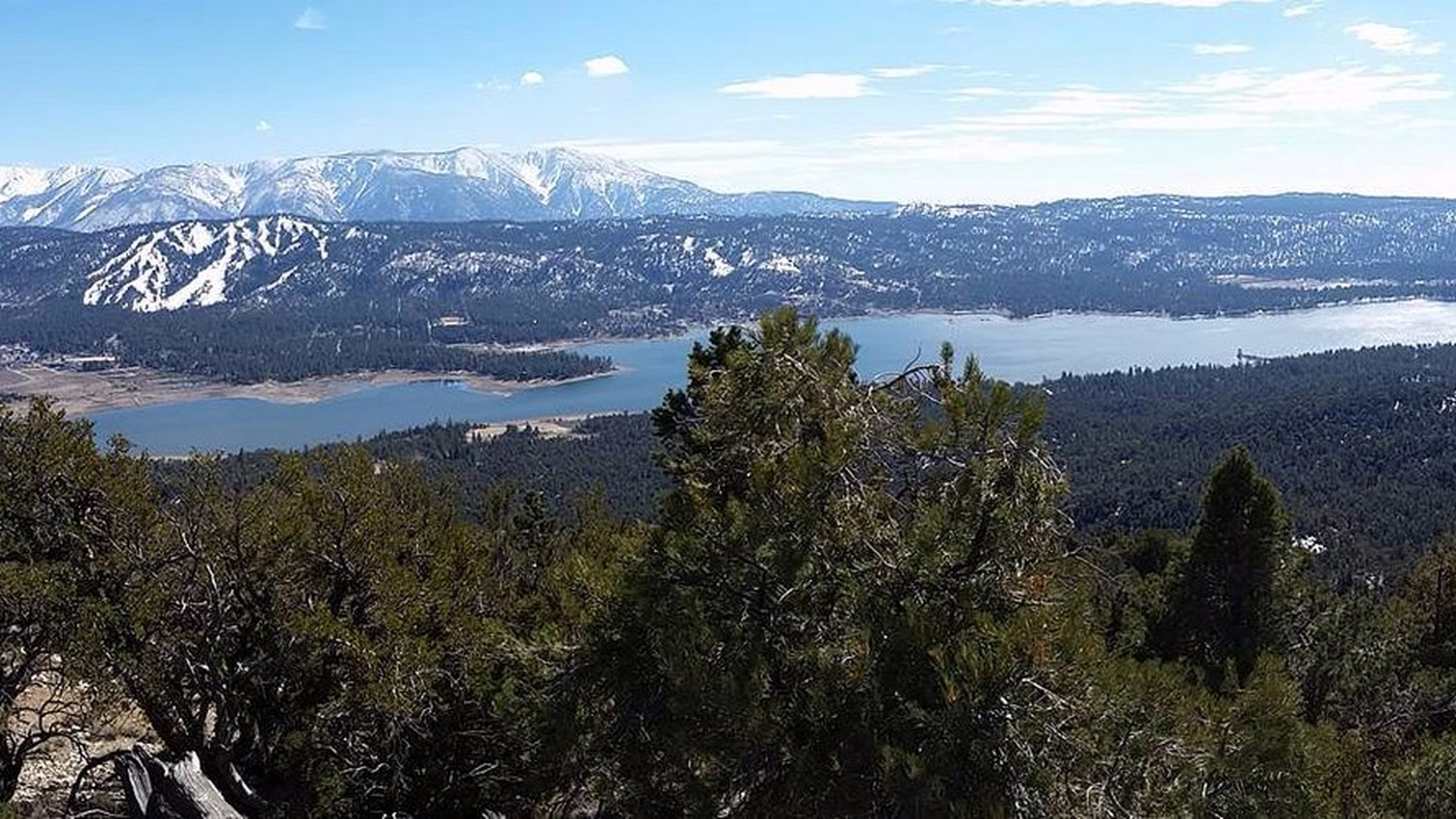 Cougar Crest Trail — photo 1