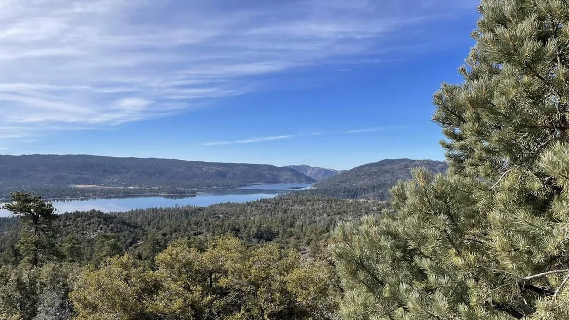 Cougar Crest Trail — photo 2