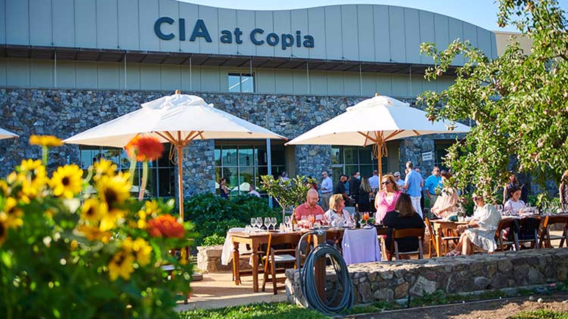 CIA at Copia — photo 2