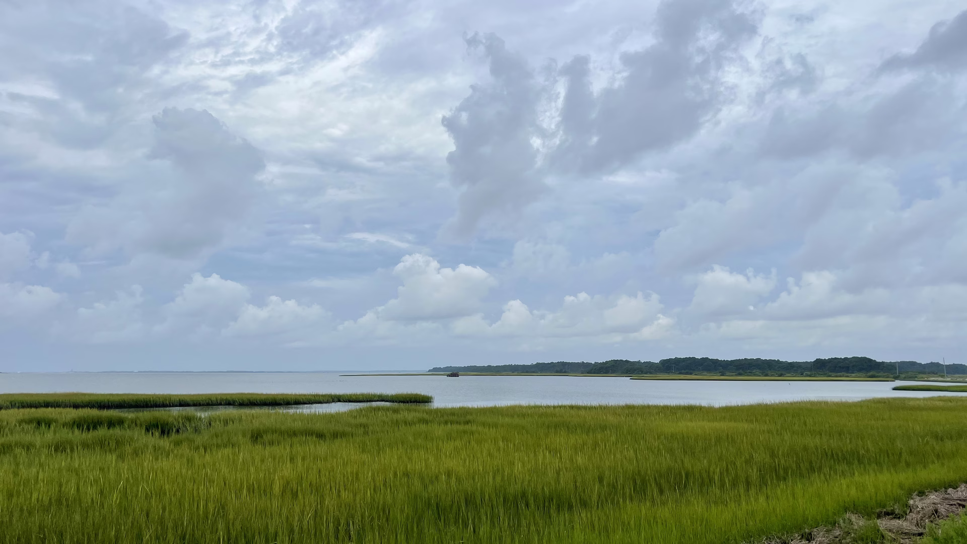 Chincoteague National Wildlife Refuge