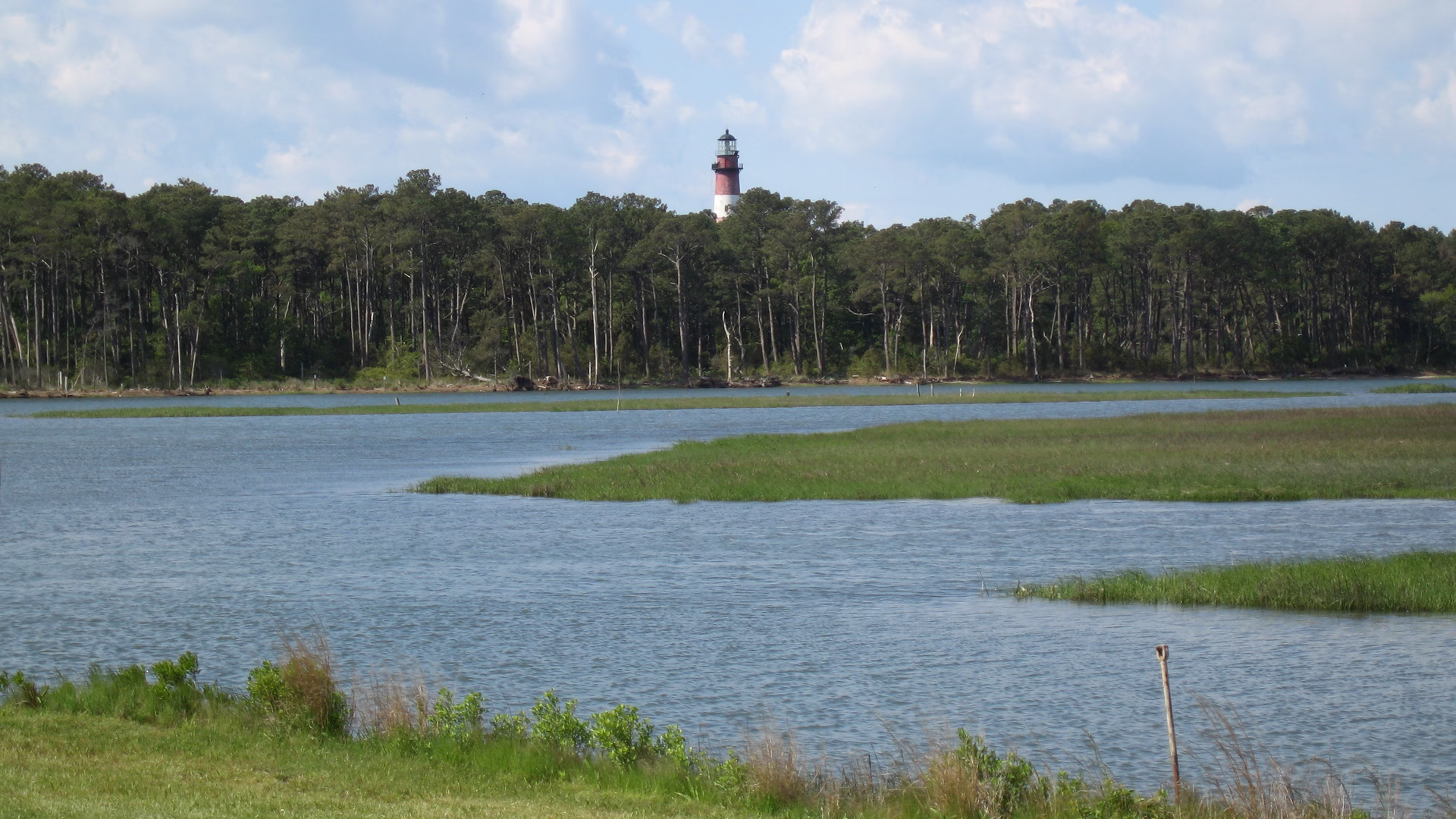 Chincoteague National Wildlife Refuge — photo 2