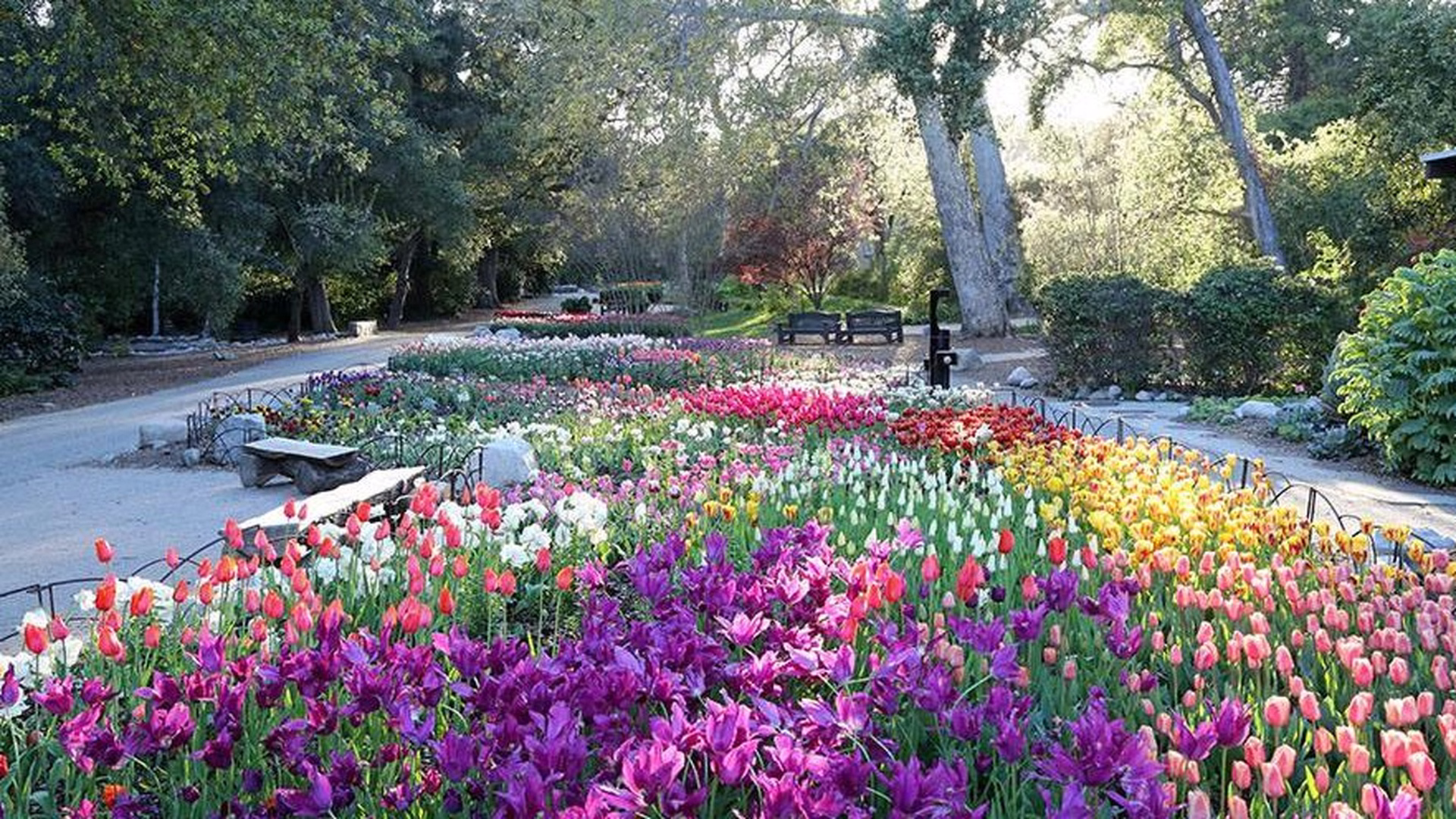 Descanso Gardens — photo 2