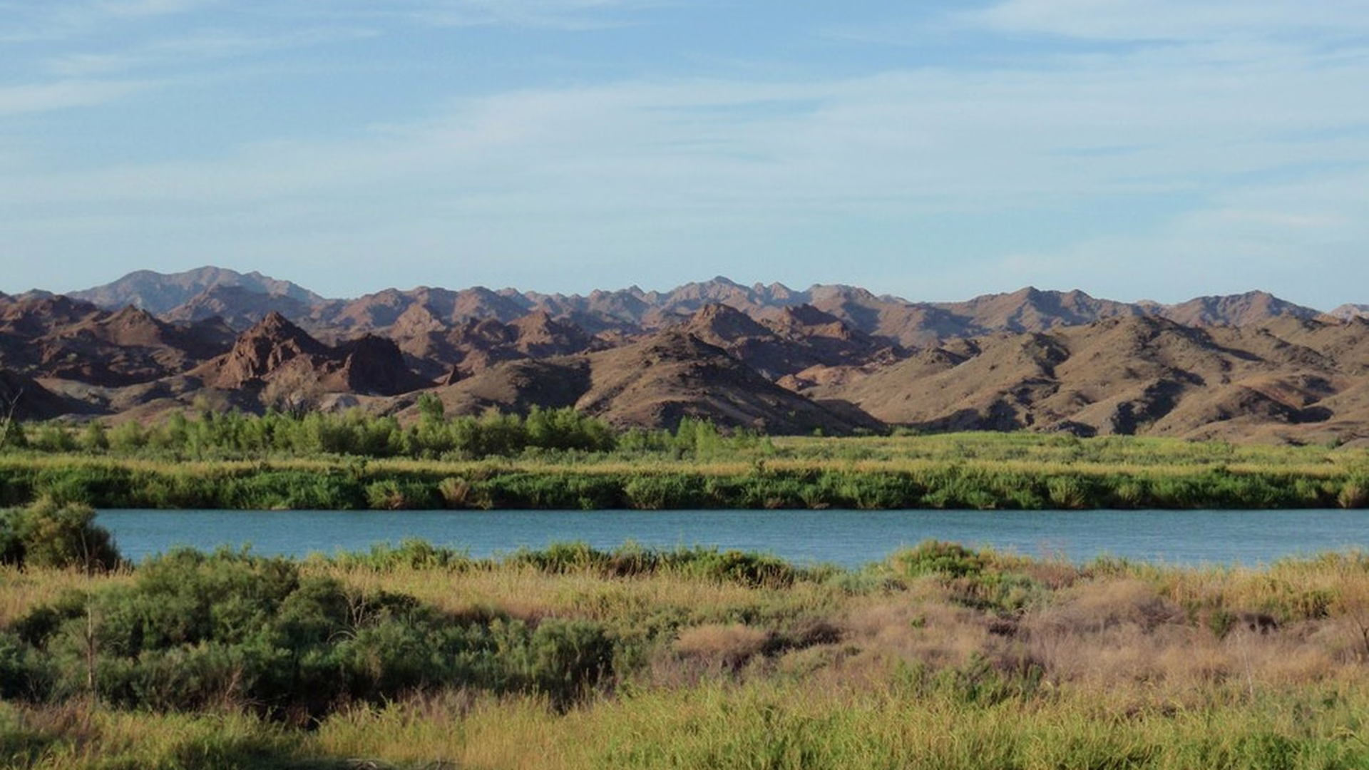 Picacho State Recreation Area — photo 1