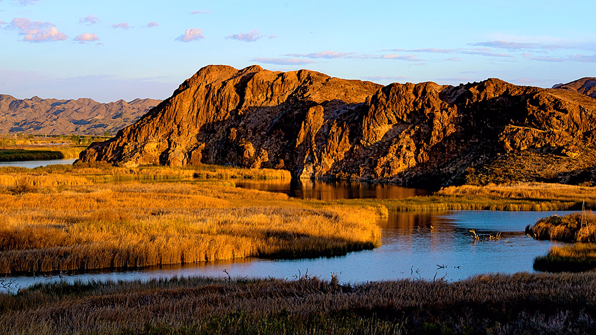 Picacho State Recreation Area — photo 2