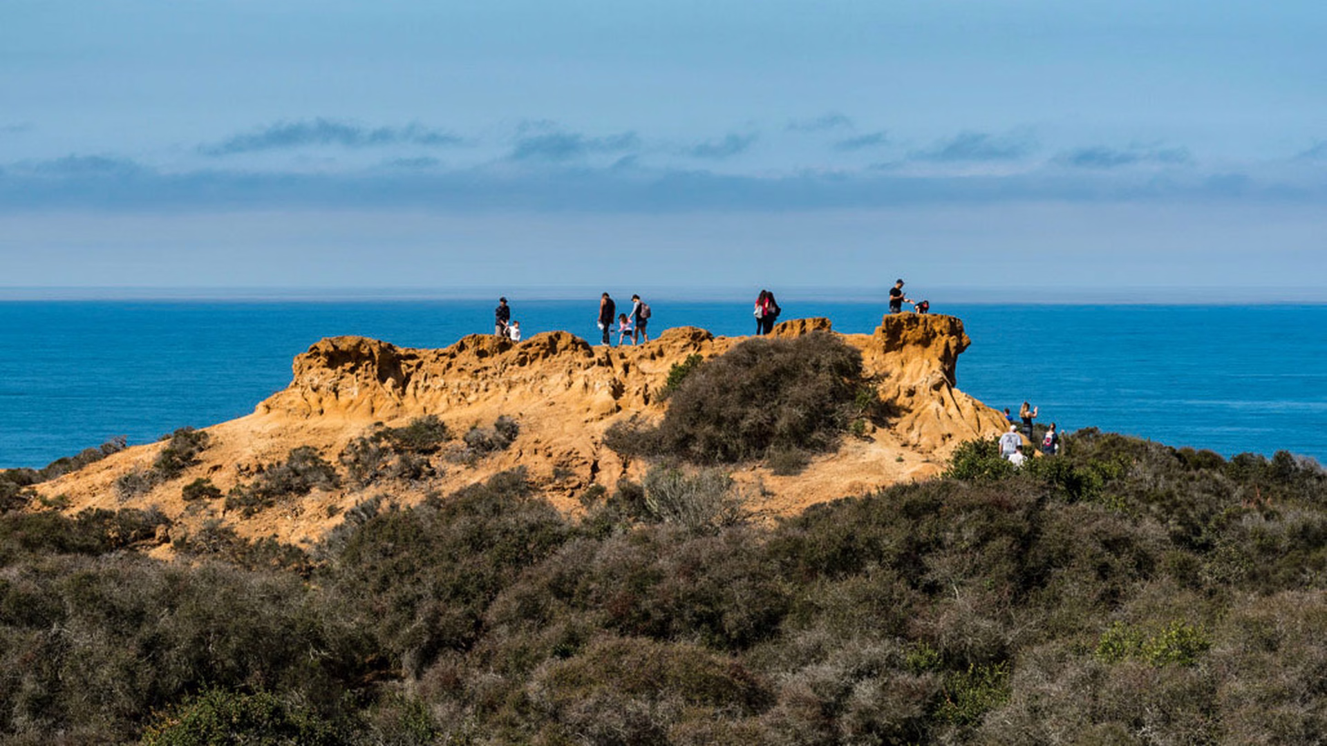 Torrey Pines State Natural Reserve — photo 1