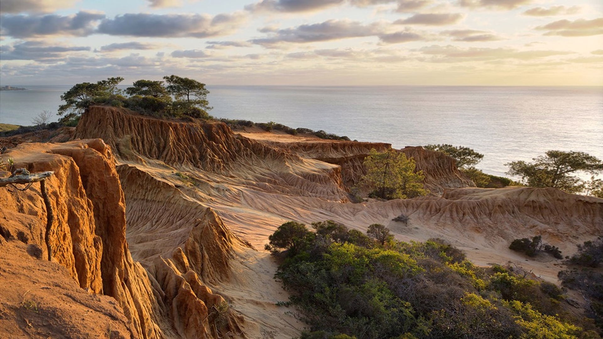 Torrey Pines State Natural Reserve — photo 2