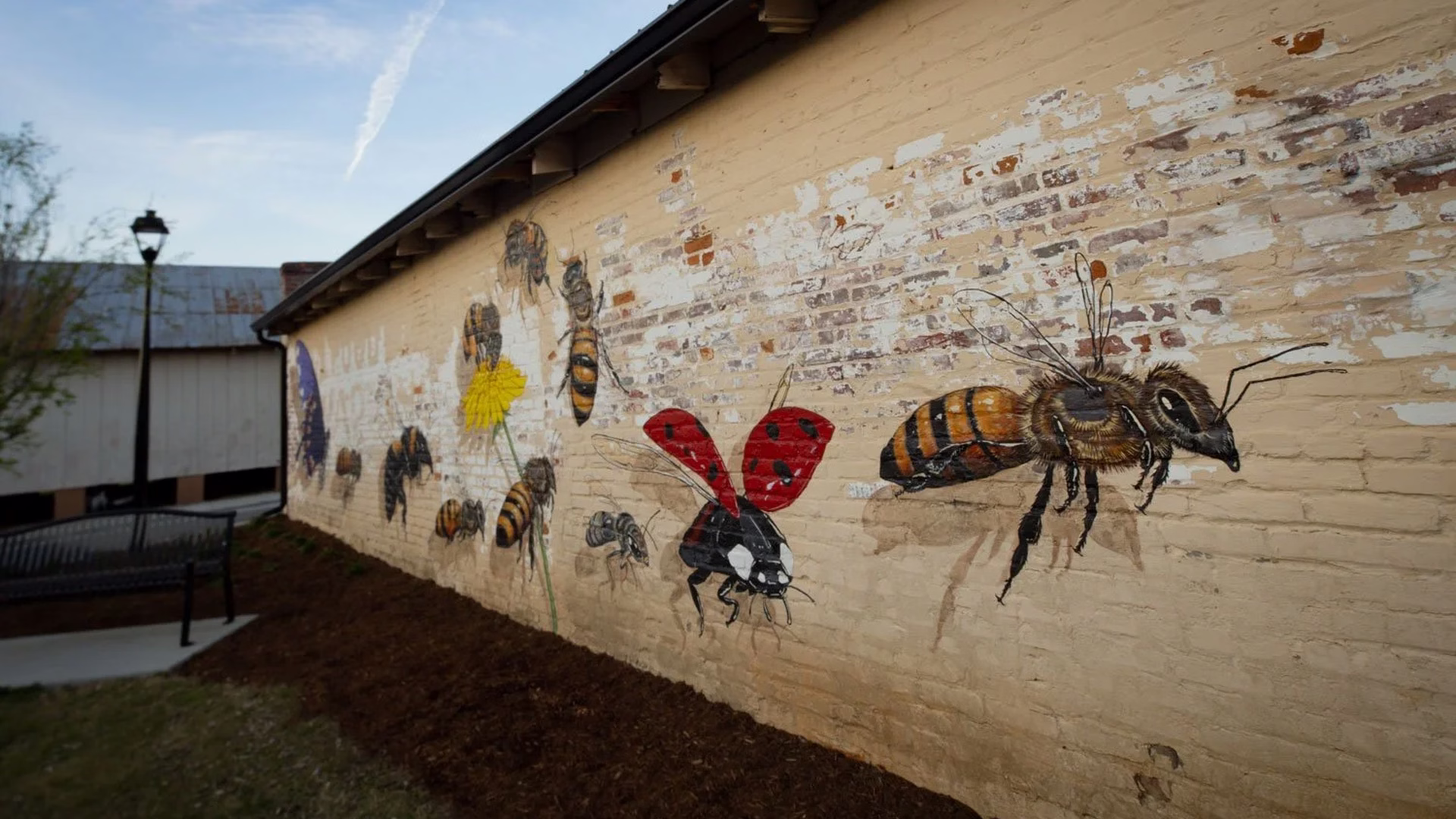 Bearded Bee Brewing Company — photo 2
