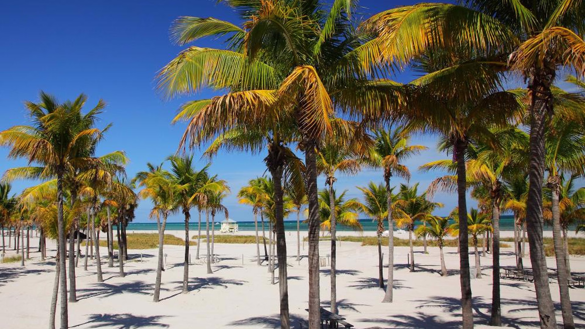 Crandon Park — photo 4