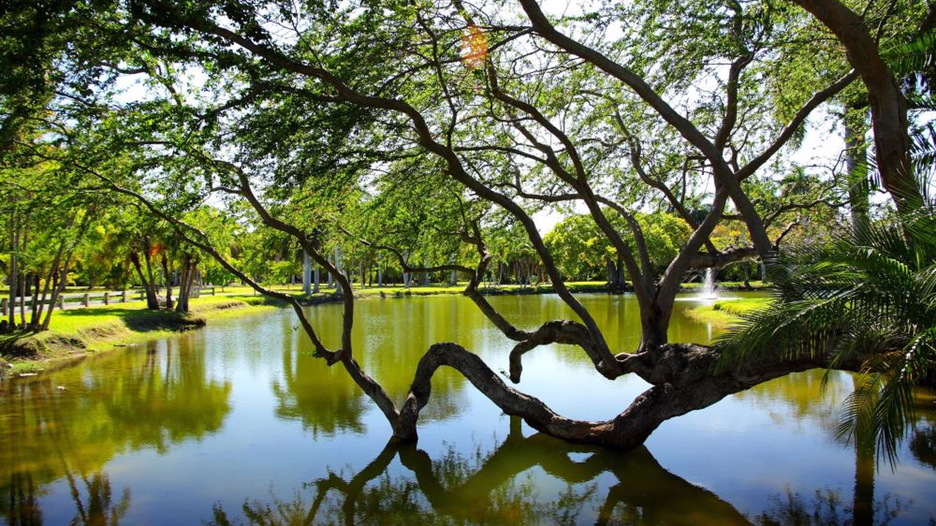 Crandon Park — photo 2