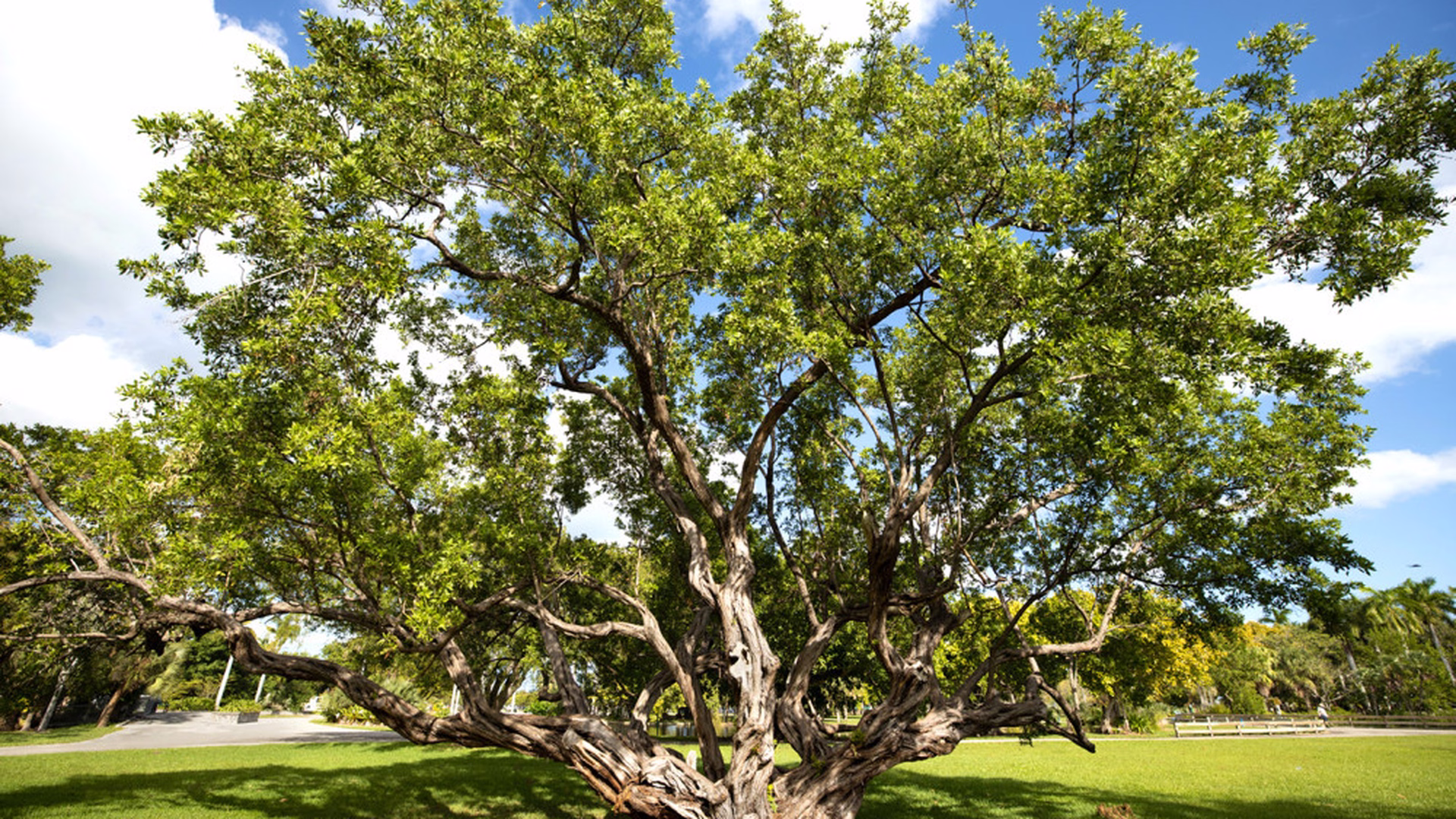 Crandon Park — photo 3