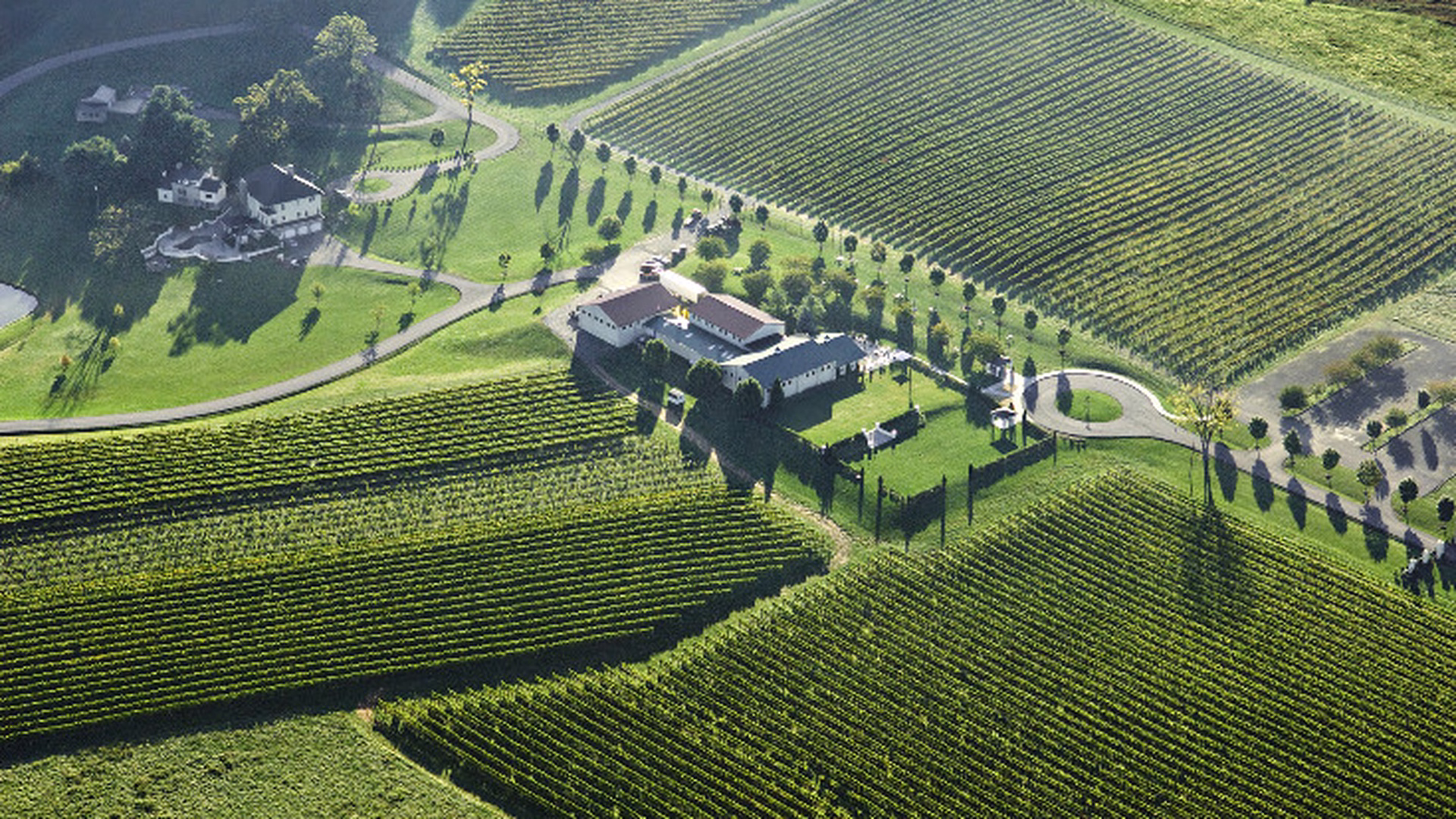 Breaux Vineyards — photo 1
