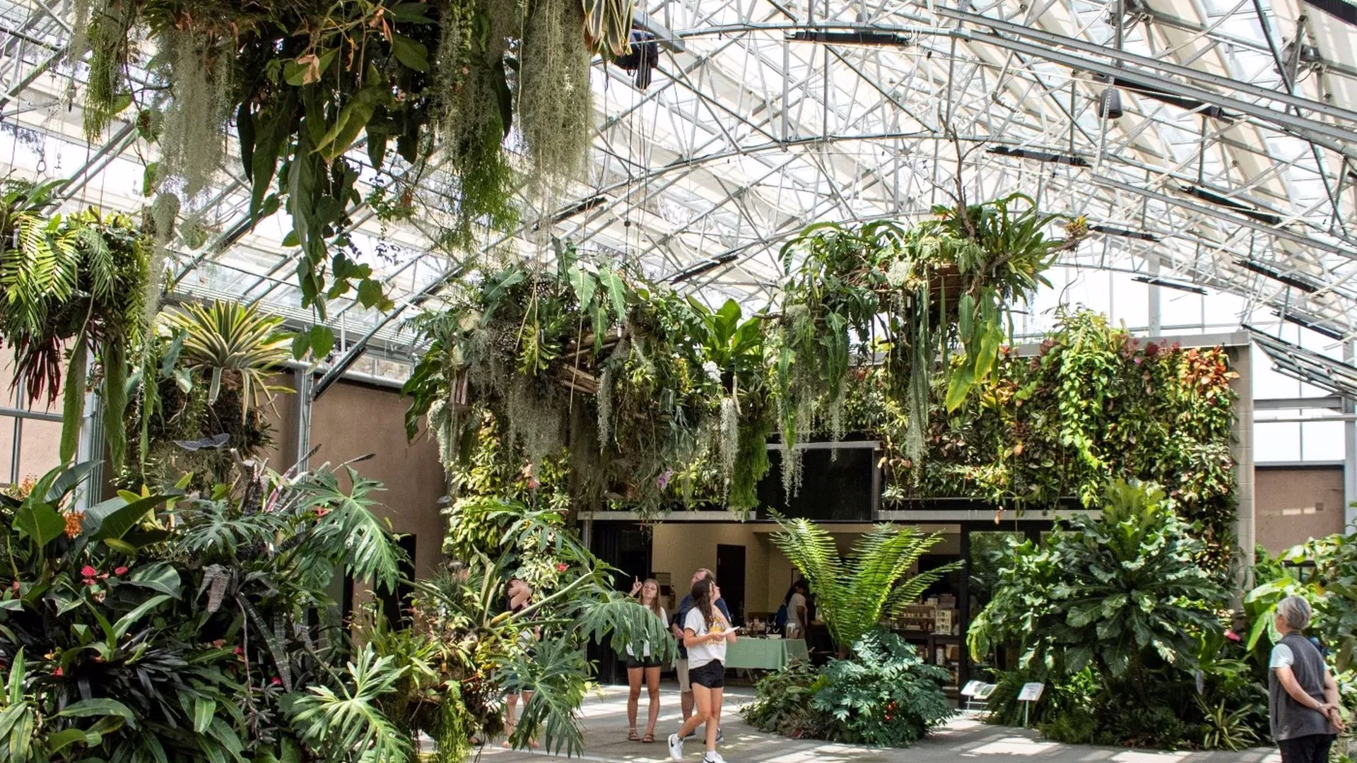 San Diego Botanic Garden — photo 2
