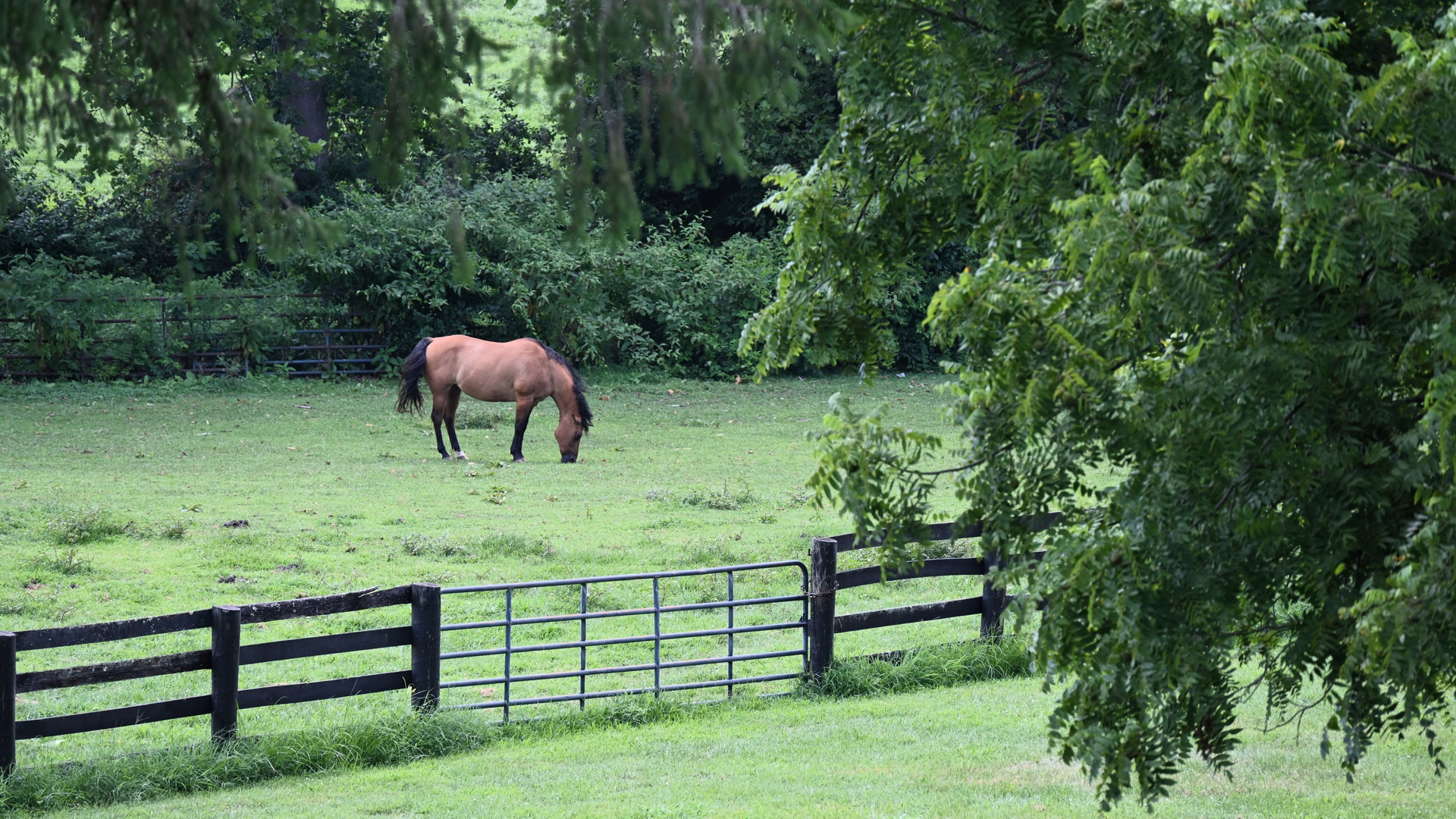 Long Branch Historic House & Farm — photo 3