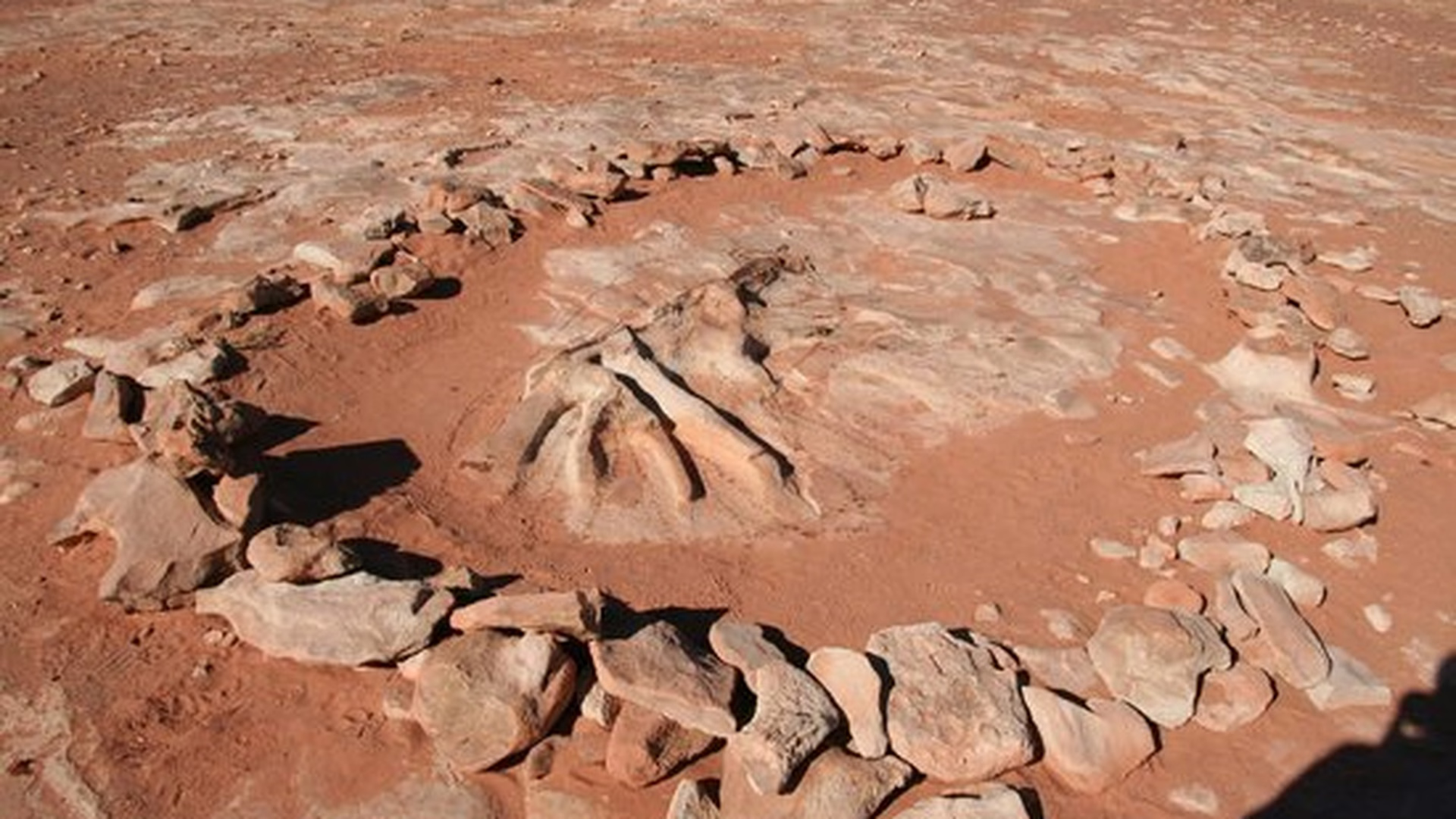 Moenave Dinosaur Tracks — photo 1