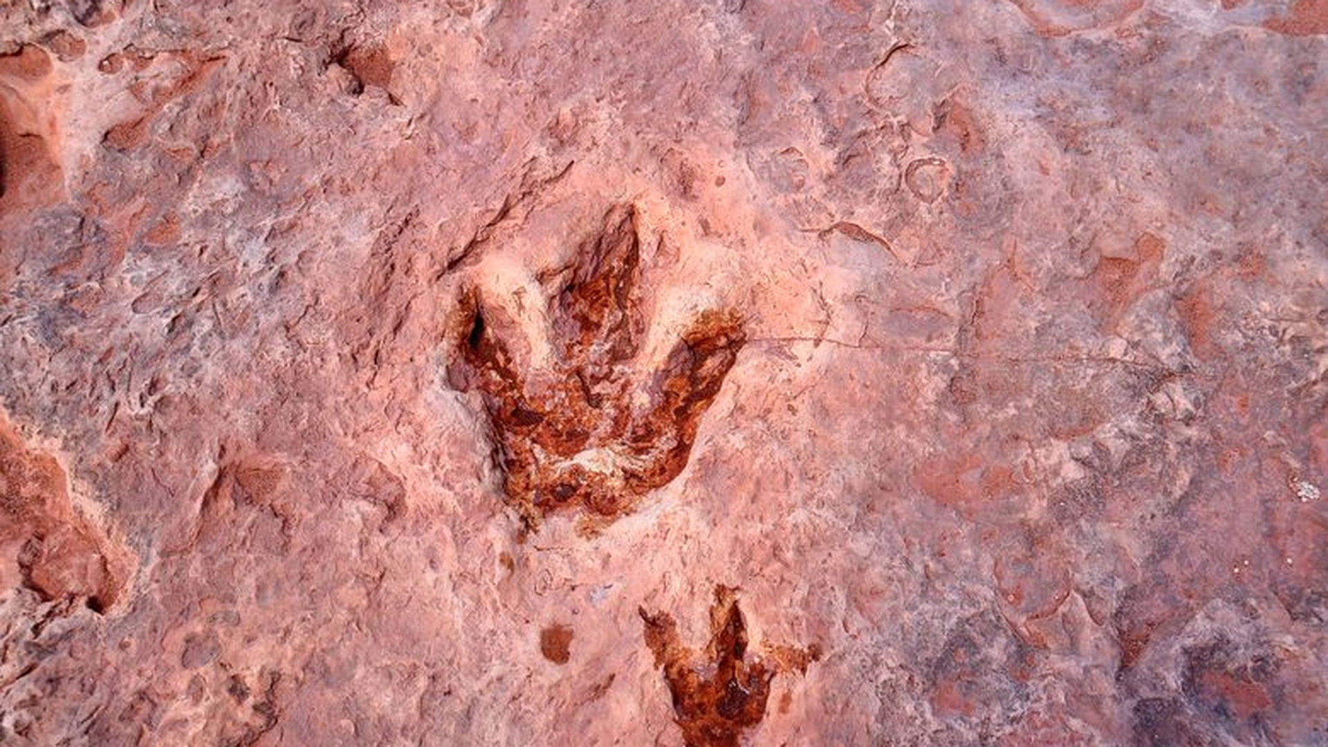 Moenave Dinosaur Tracks — photo 2