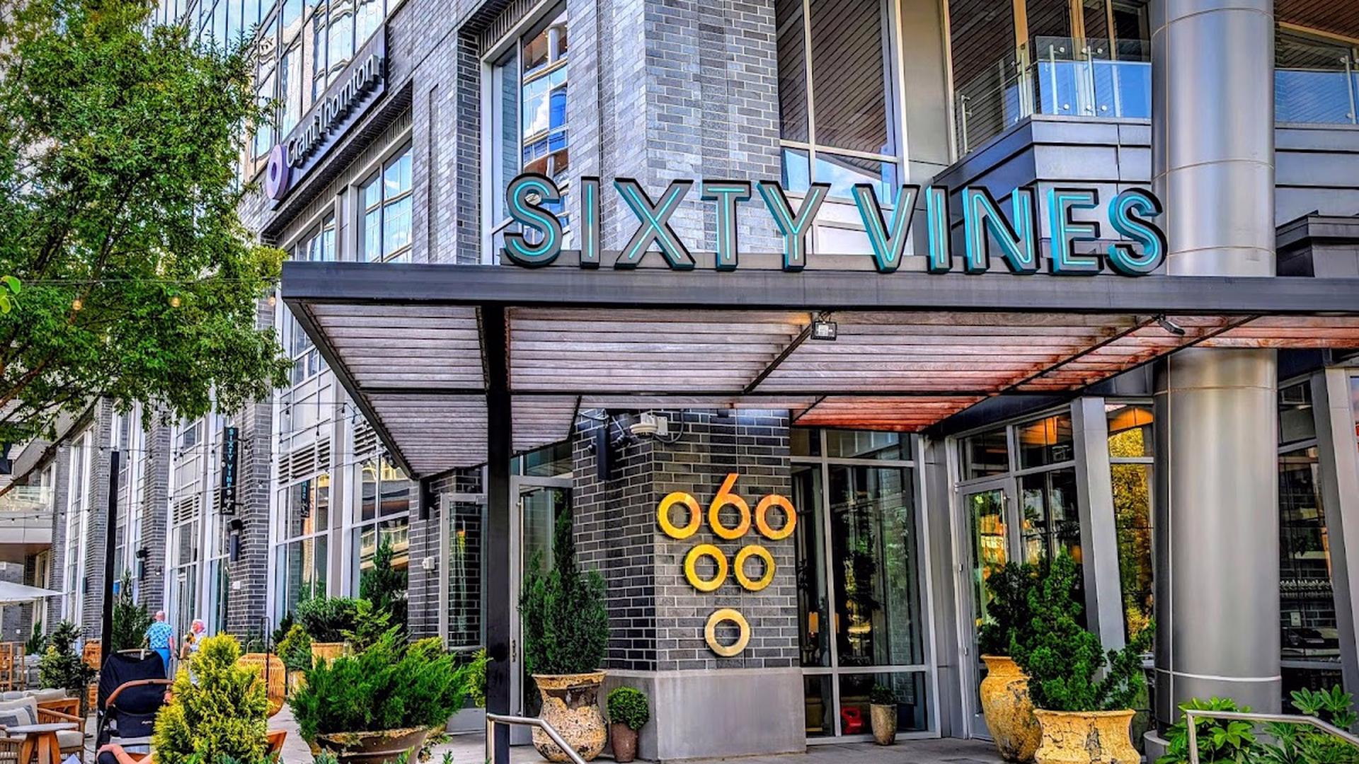 Sixty Vines (Charlotte) — photo 2