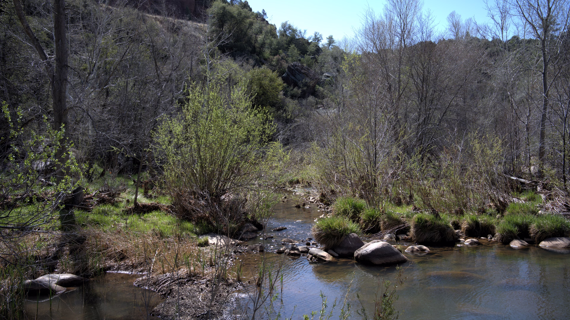 East Verde Picnic Area — photo 1