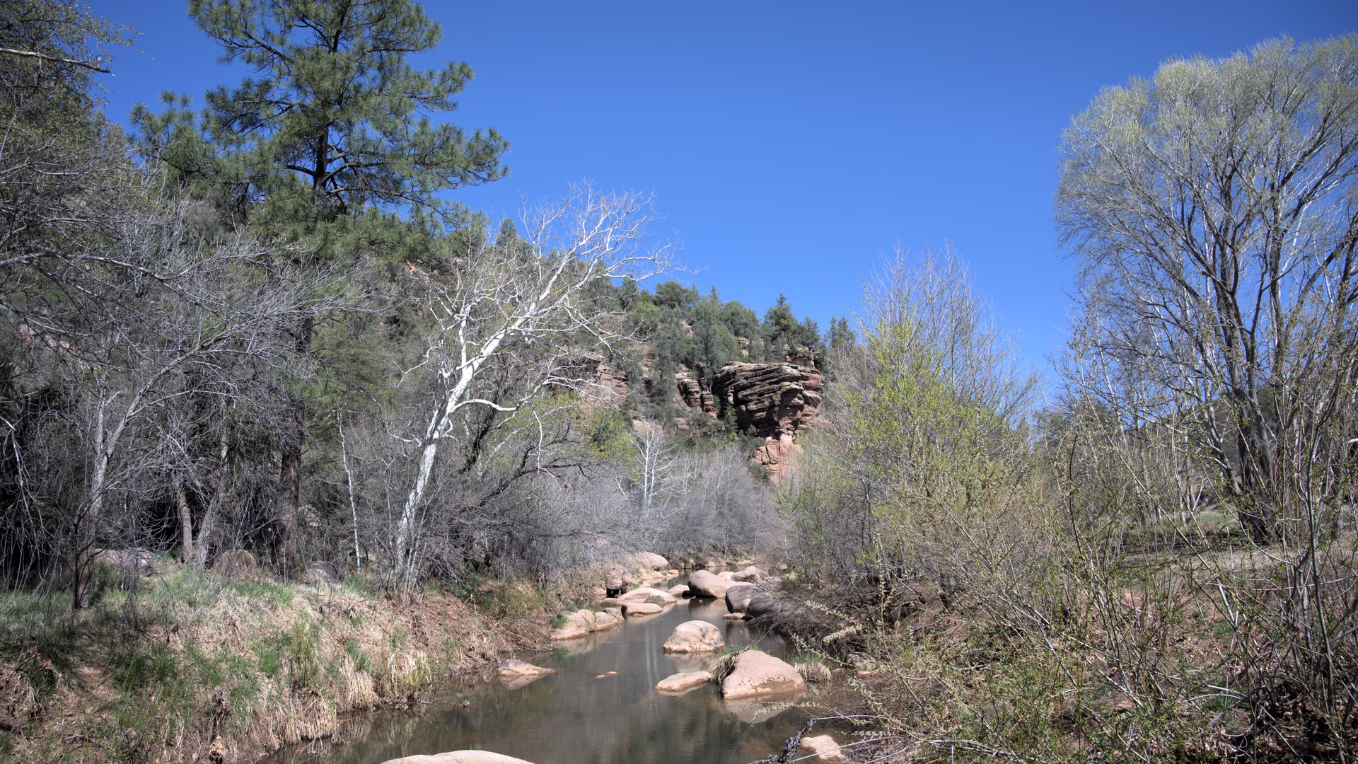 East Verde Picnic Area — photo 2