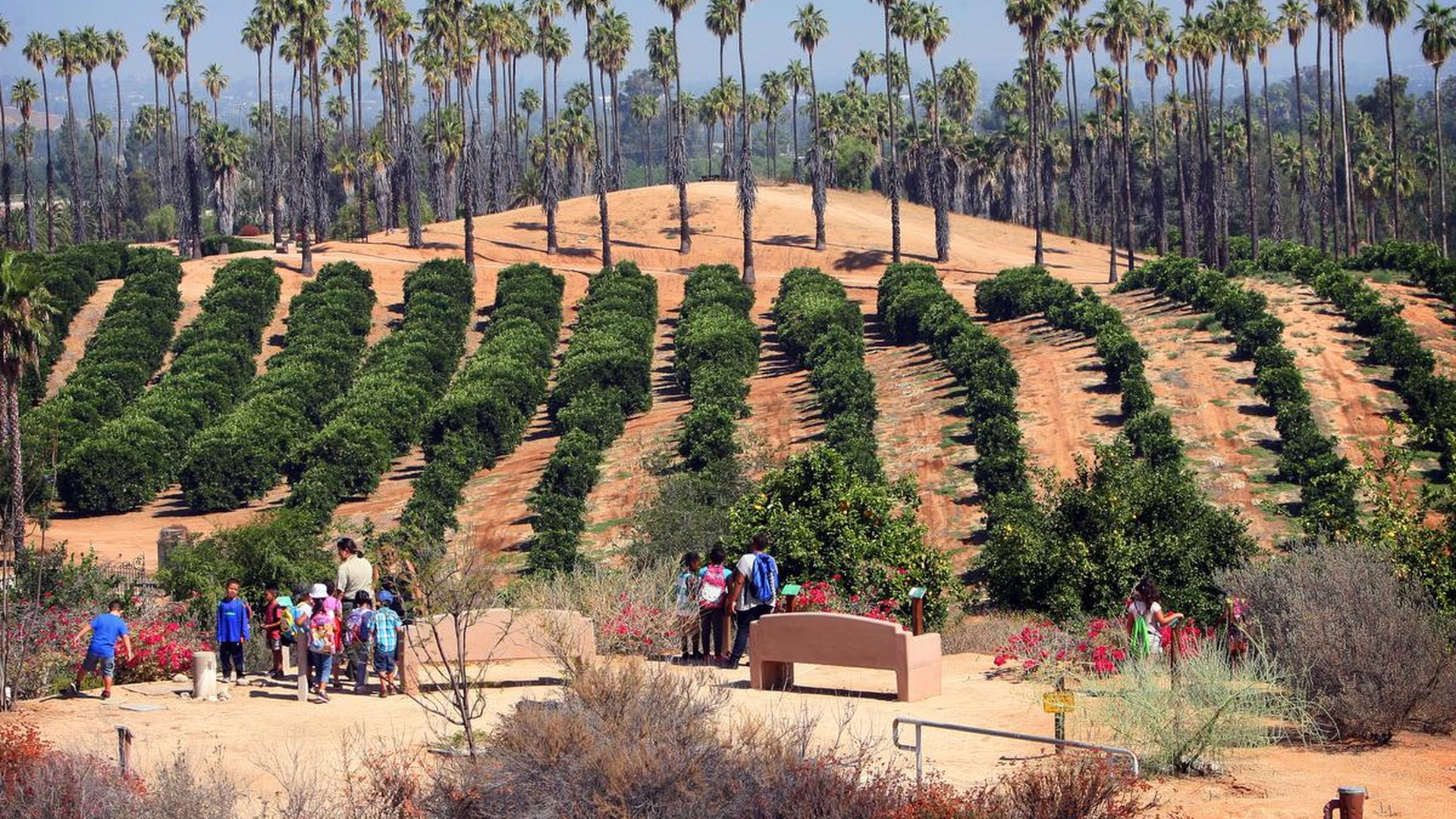 California Citrus State Historic Park — photo 1