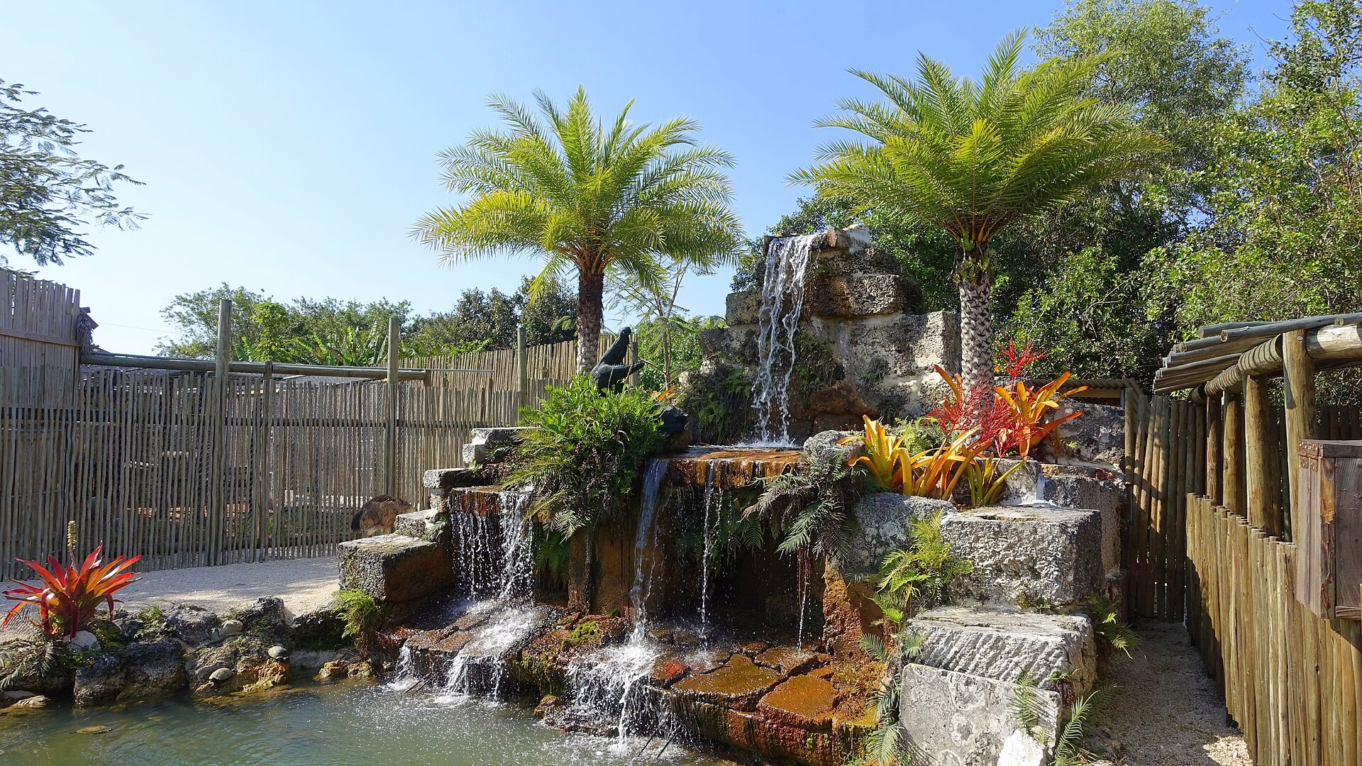 Everglades Alligator Farm — photo 2