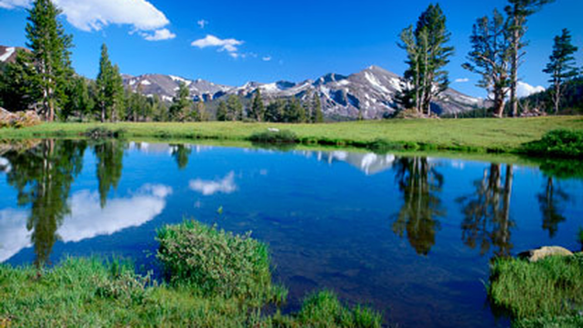 Tuolumne Meadows — photo 1