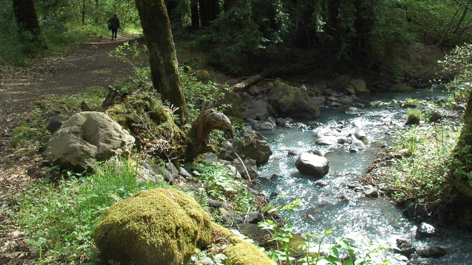 Bothe-Napa Valley State Park — photo 1