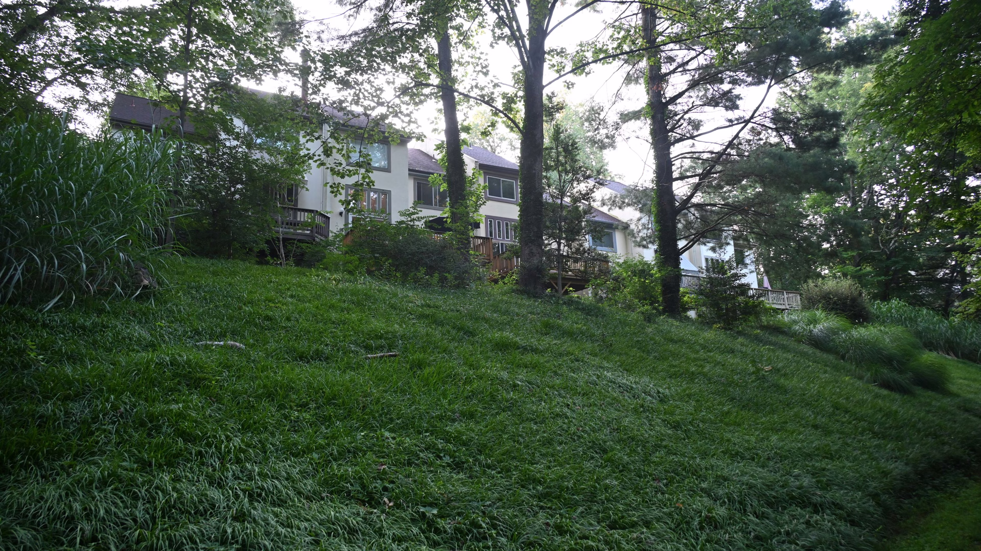 Lake Anne Loop Trail additional image