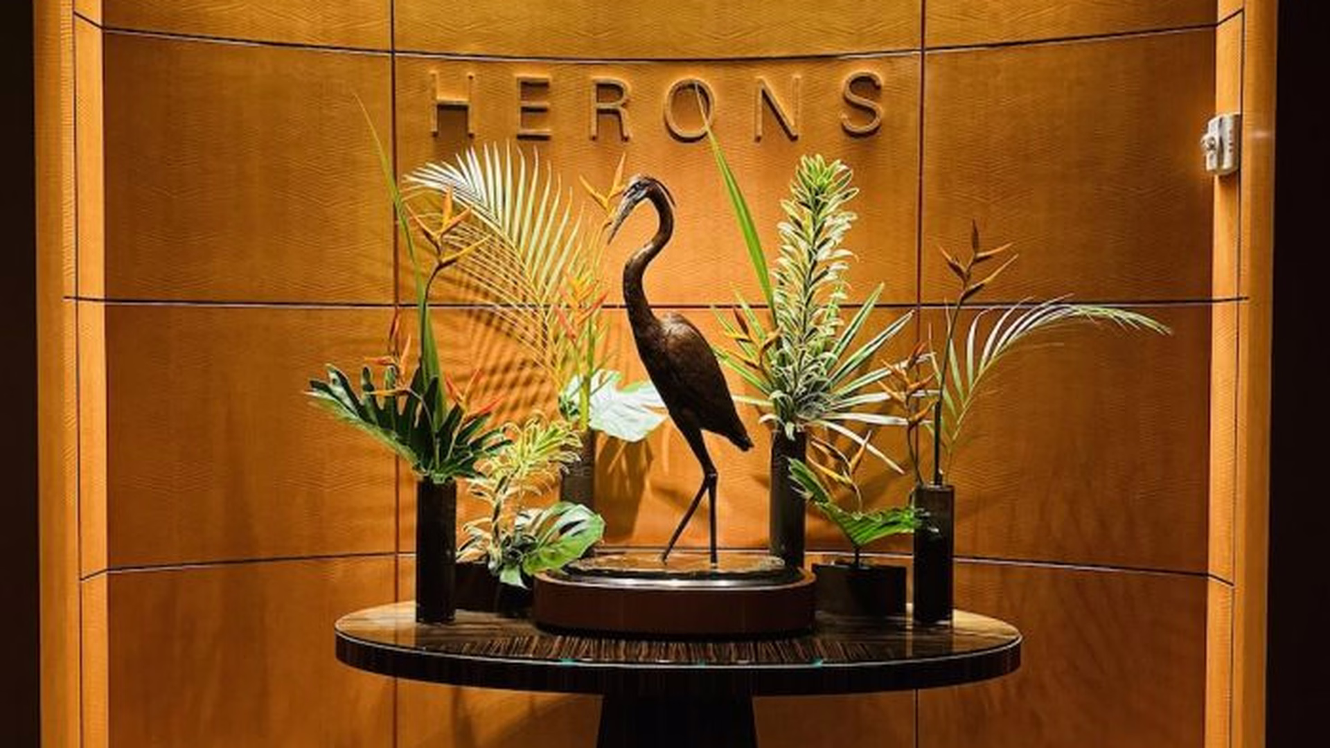 Herons — photo 1