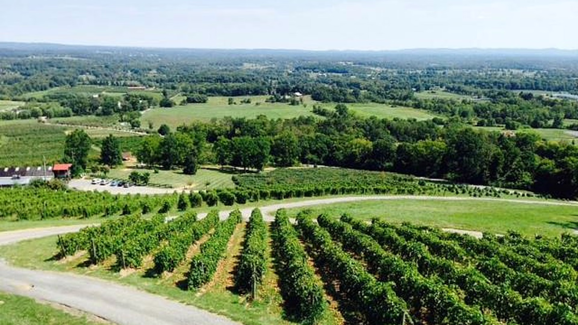 Bluemont Vineyard — photo 1